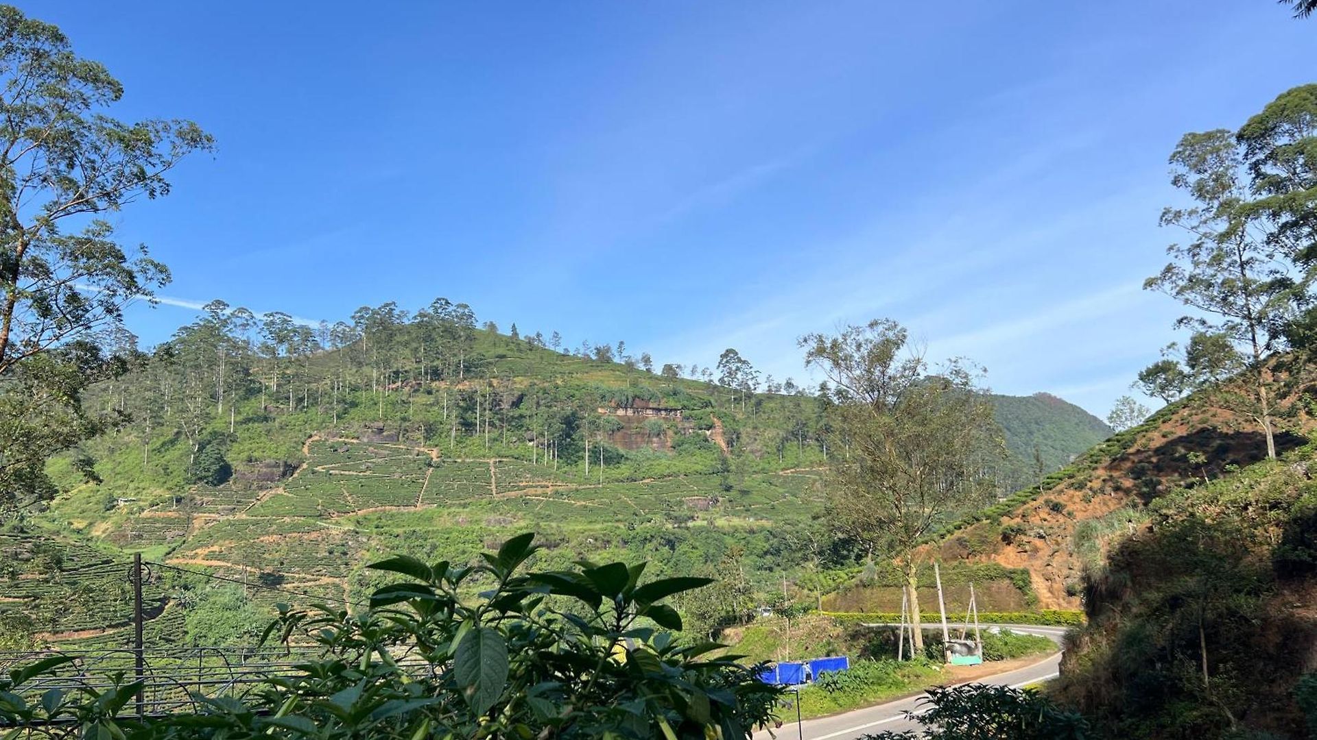 Crimple Hotel Nuwara Eliya