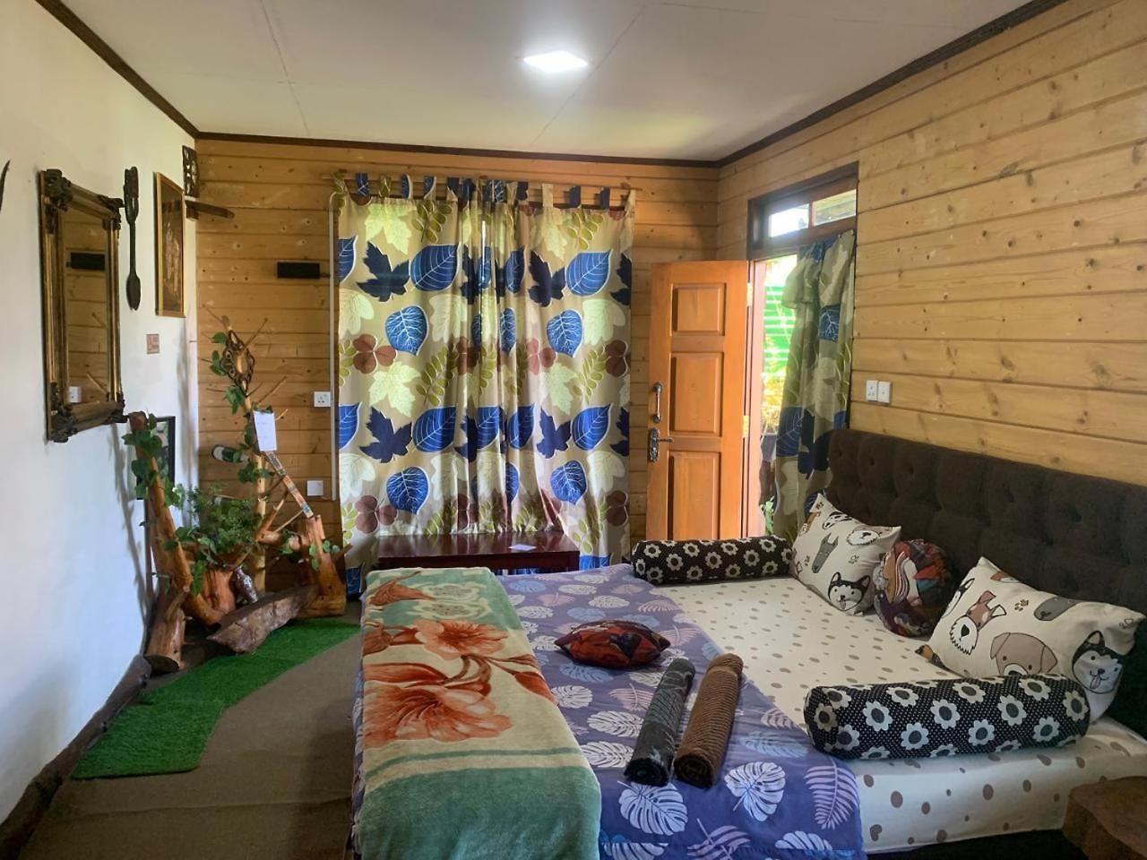20/20 Wood Homestay *