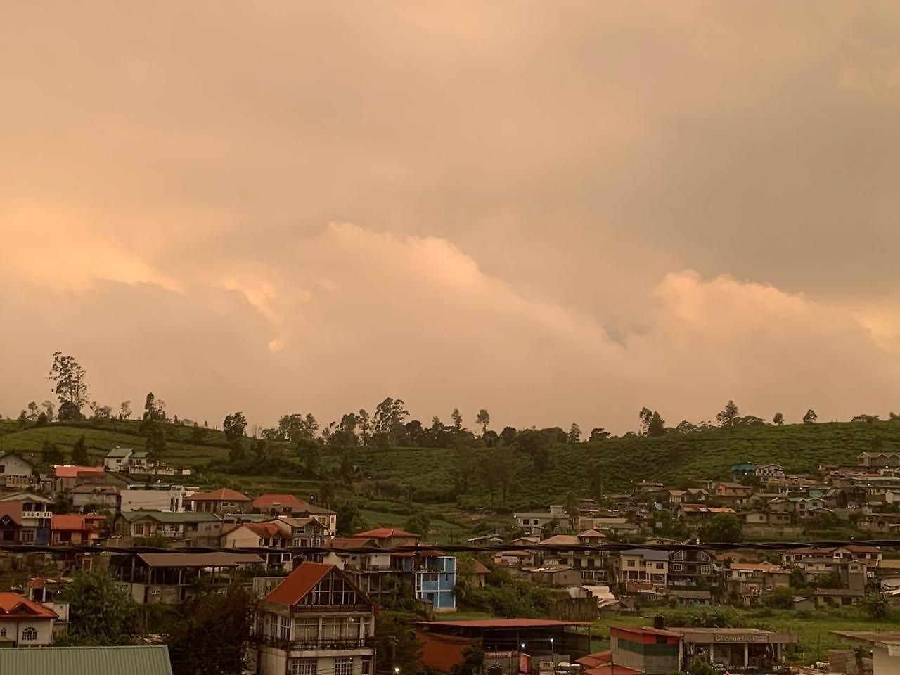 20/20 Wood Nuwara Eliya