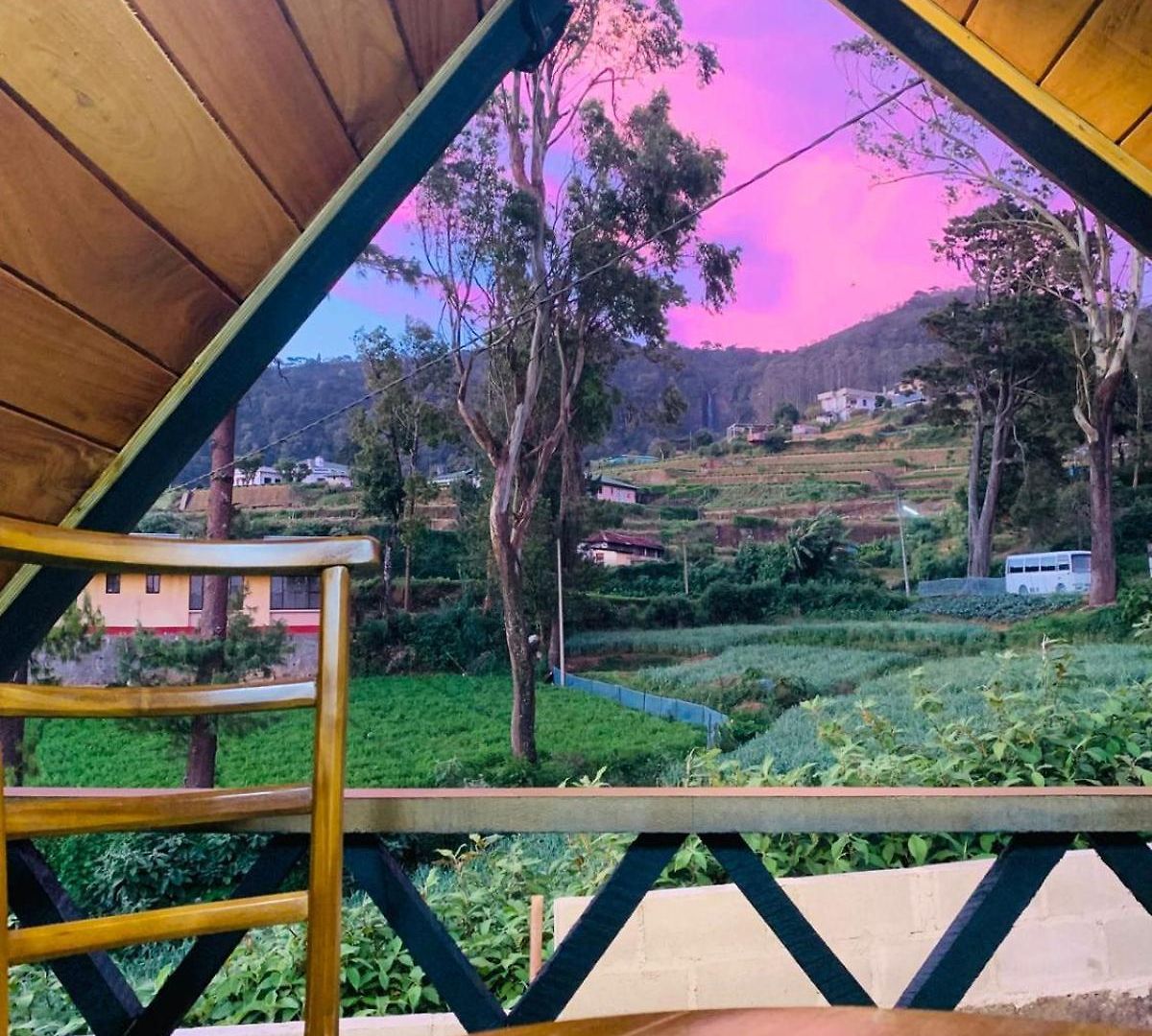 20/20 Wood Nuwara Eliya