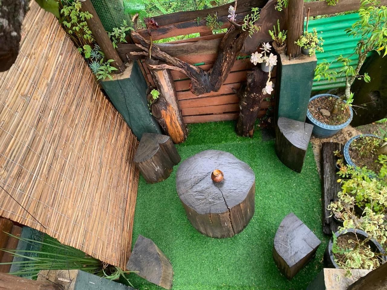 20/20 Wood