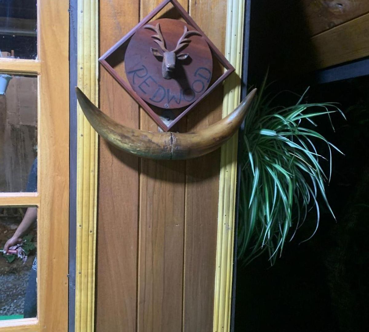 Homestay 20/20 Wood
