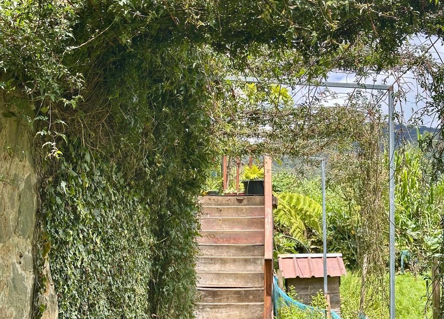 Homestay Cozy Heaven *