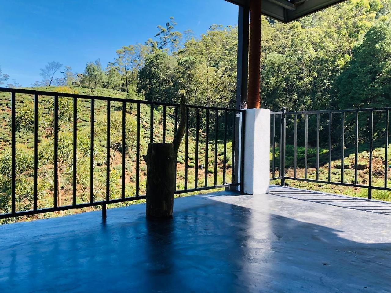 View Homestay