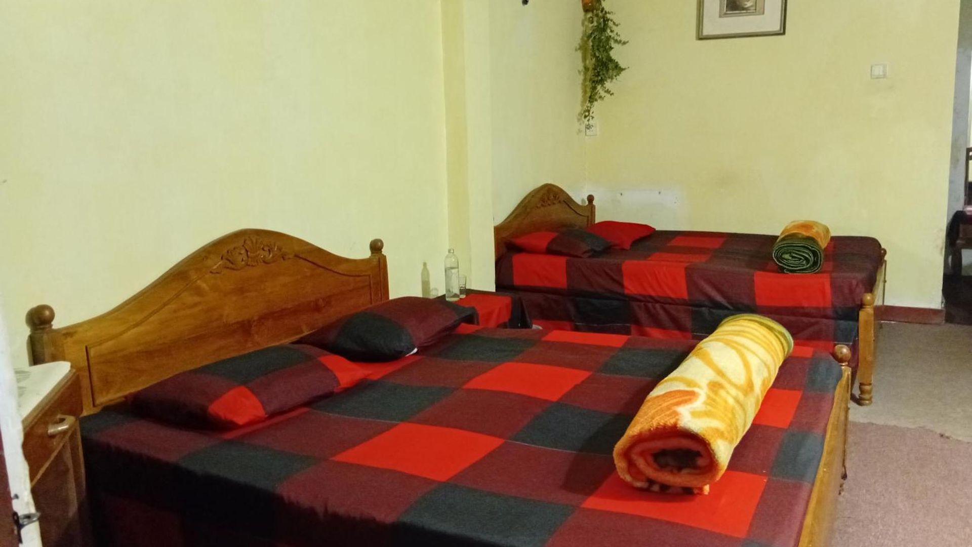 Hostel Silonya Forest Edge