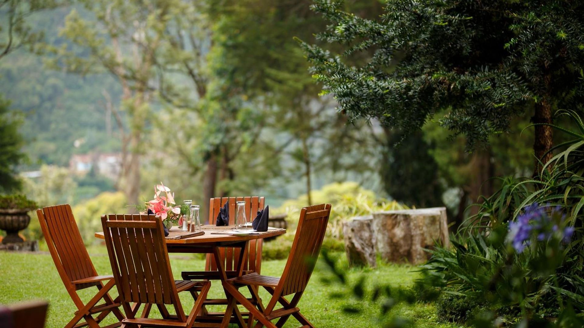 Jetwing Warwick Gardens, A Luxury Reserve 5* Nuwara Eliya