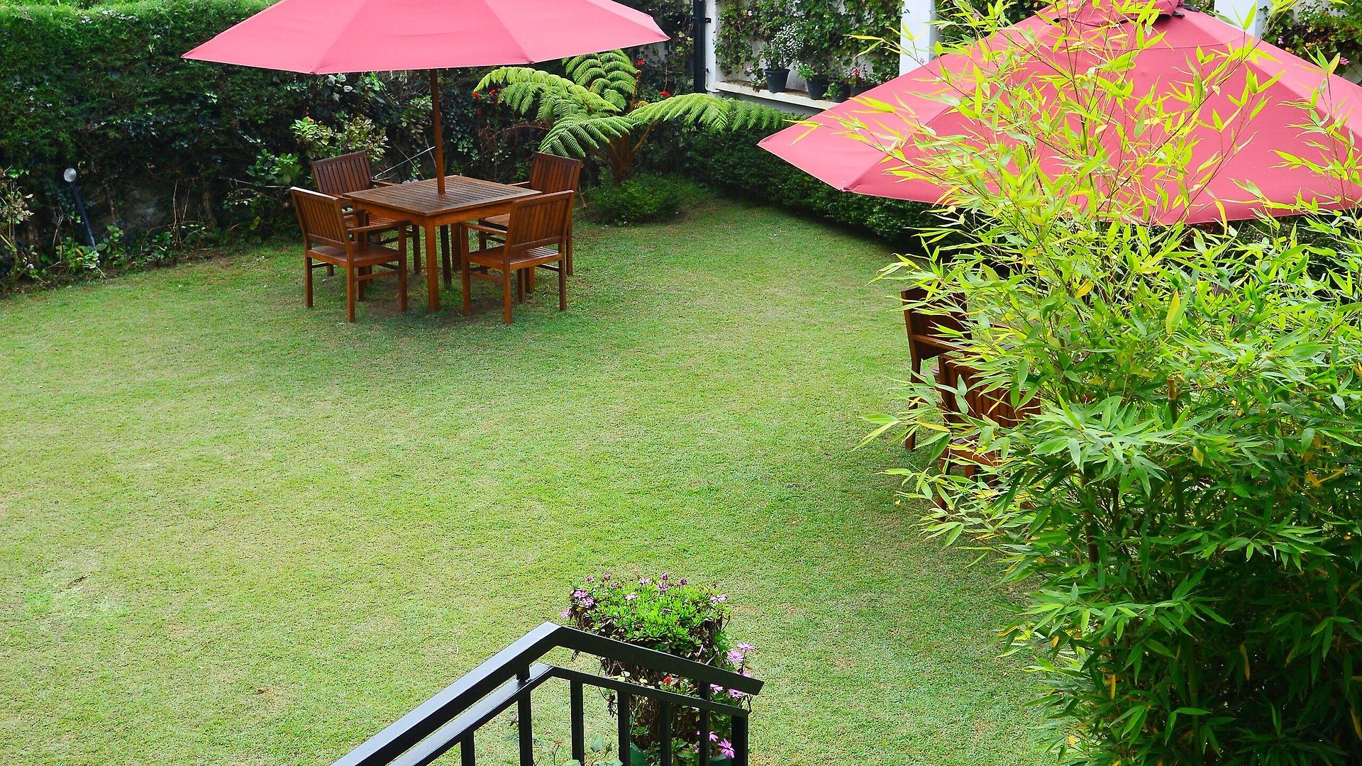 Unique 3* Nuwara Eliya
