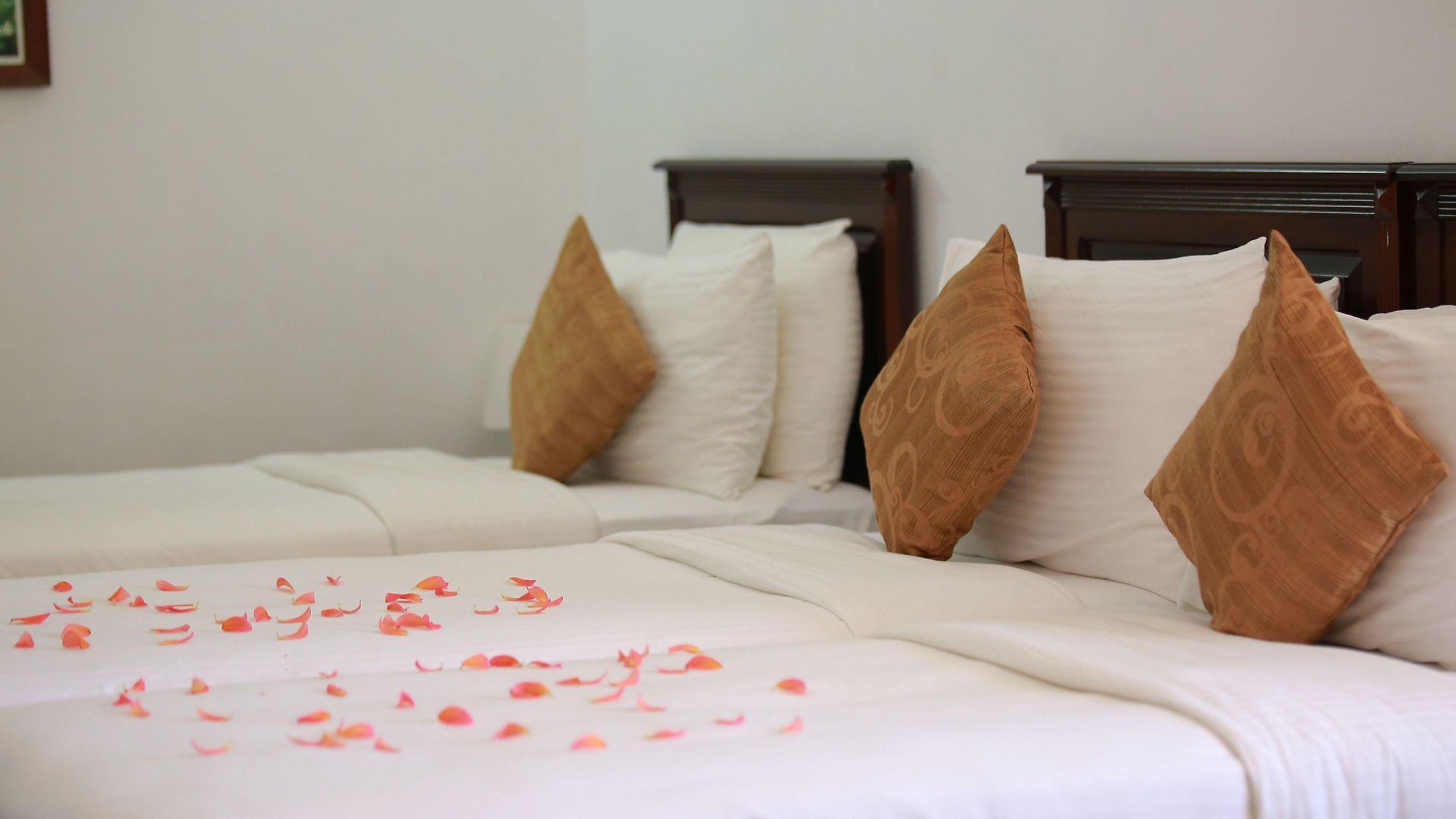 The Rock Hotel