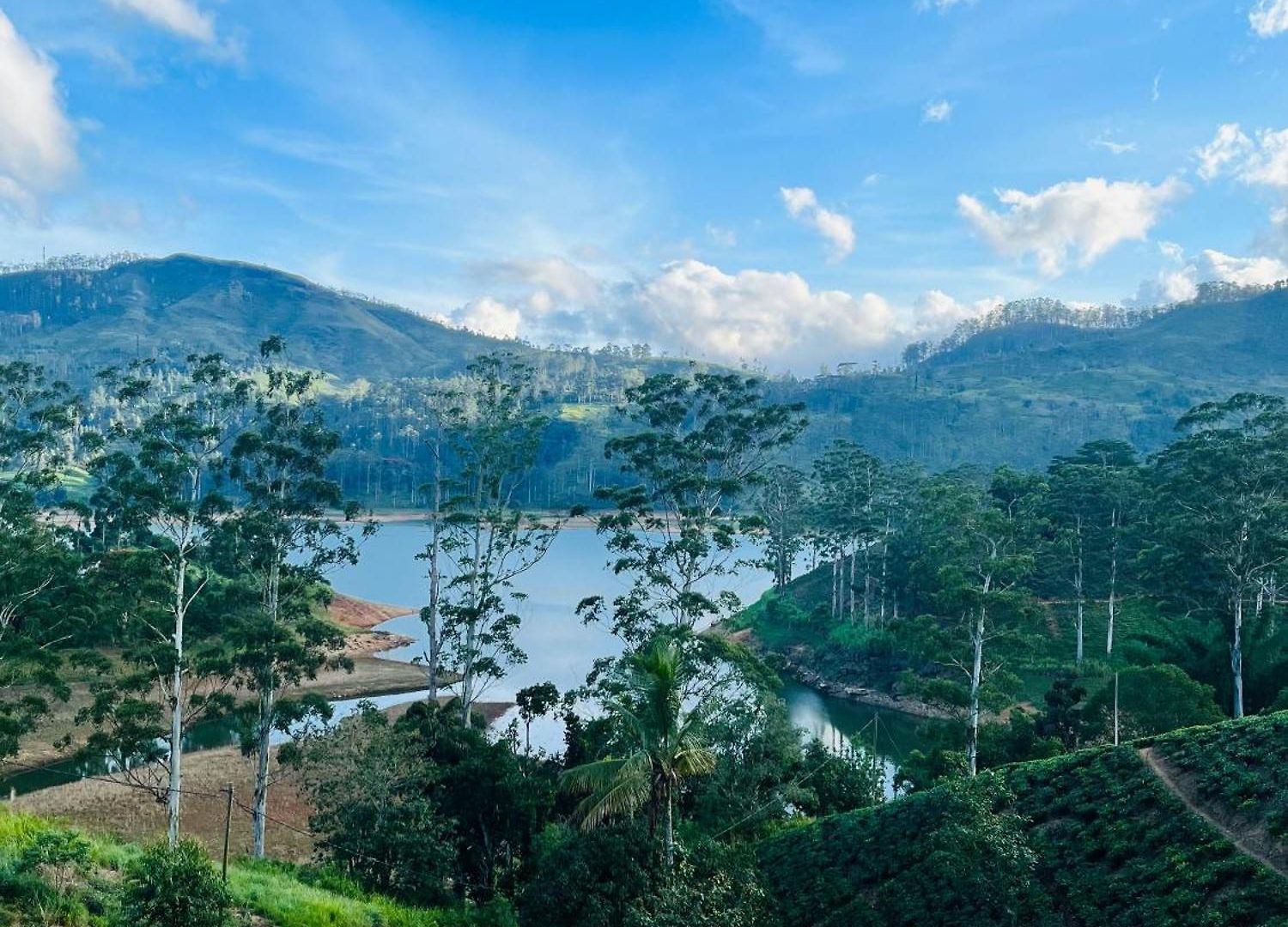 Uga Halloowella Hotel Nuwara Eliya