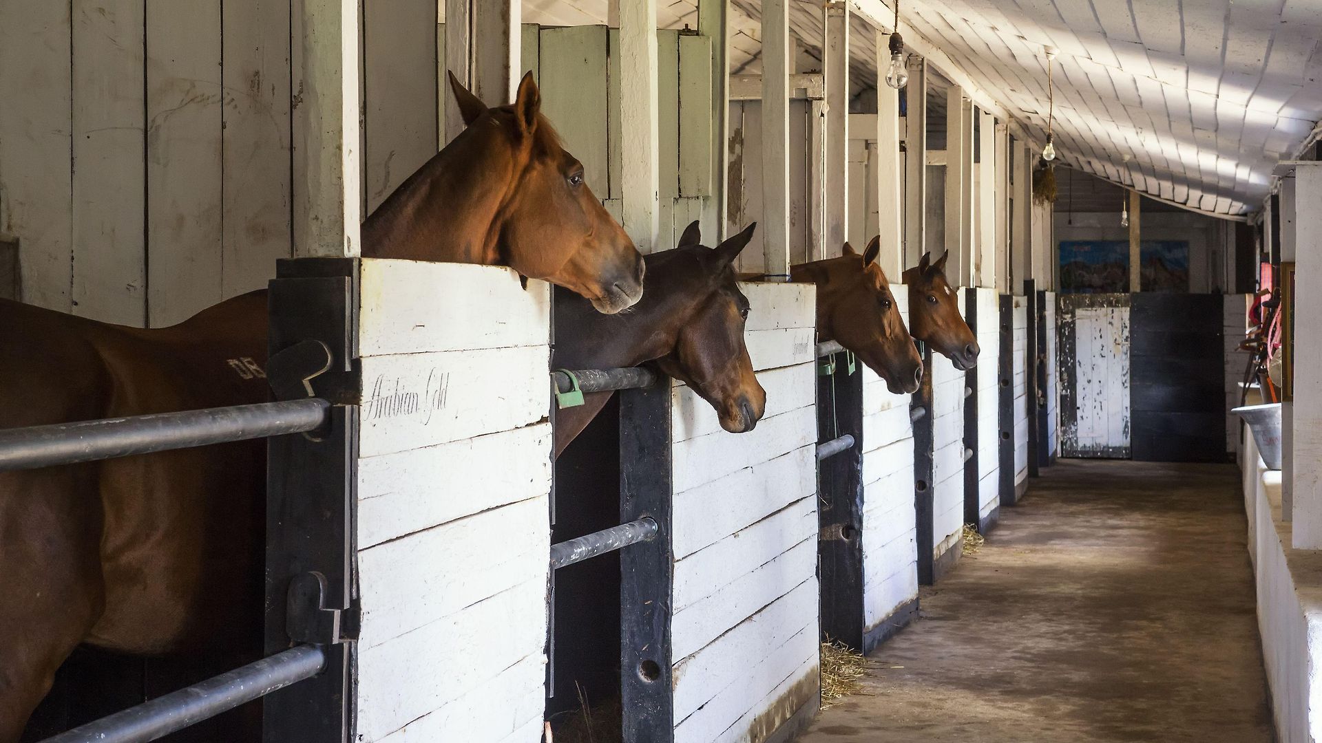 Hill Rise Luxury & Stables By Edwards Collection -
