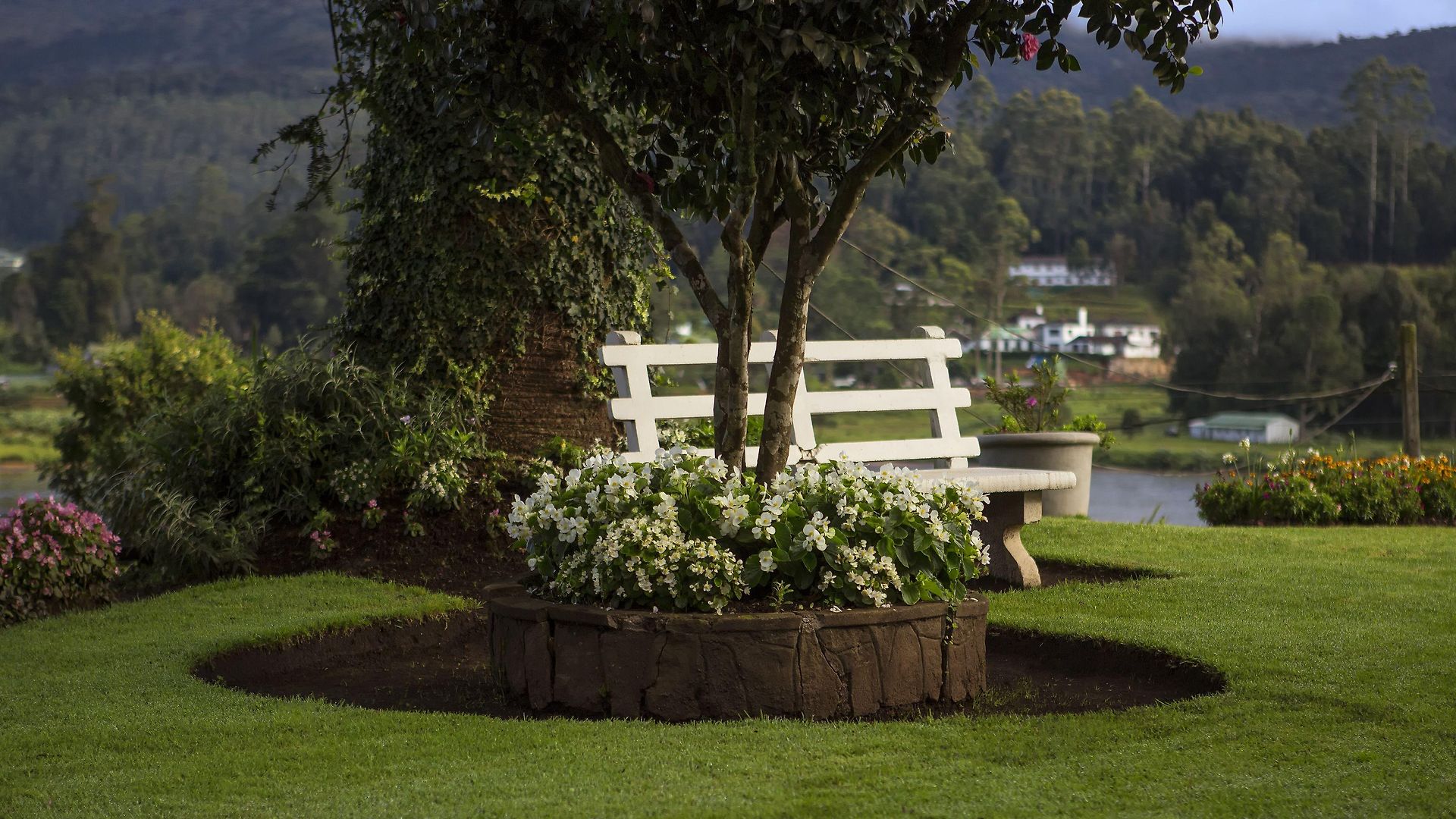 Hill Rise Luxury & Stables By Edwards Collection - Villa *