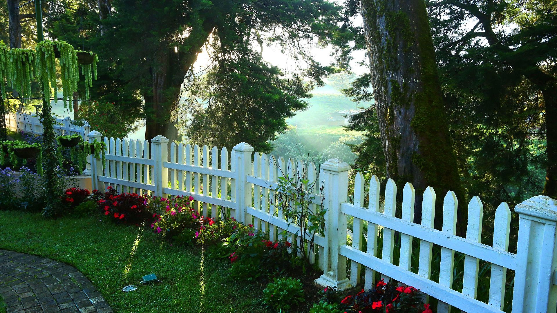 The Firs Holiday home