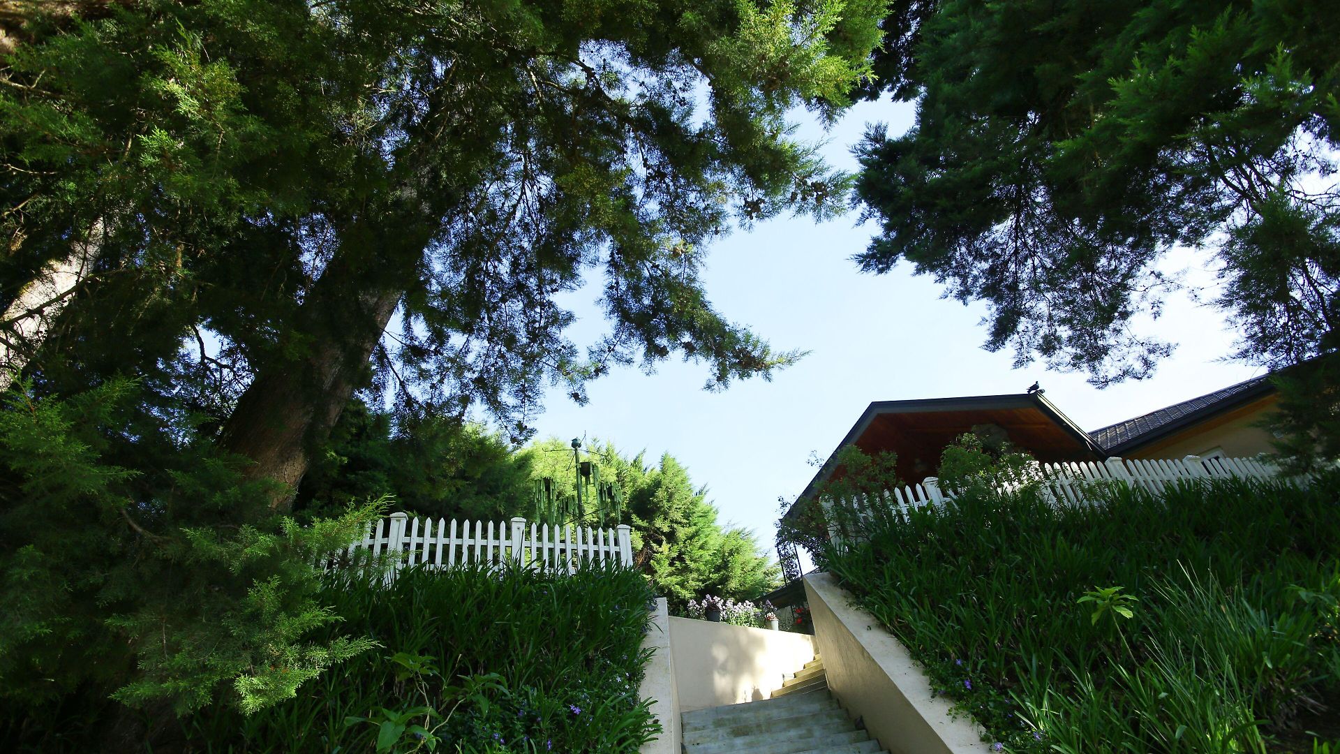The Firs Holiday home