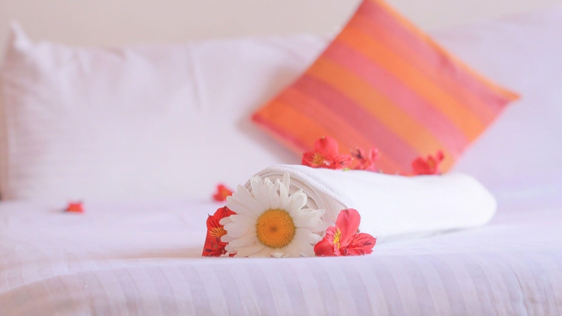 Hotel Inroma 3*