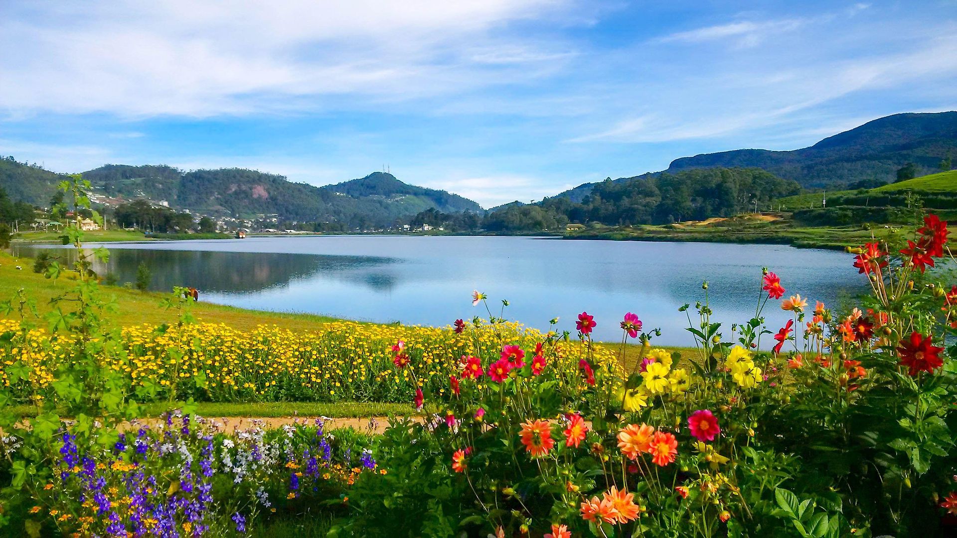 Villa Tea Fields - Free Breakfast, Just 4Km From City, Near Lake Gregory Nuwara Eliya