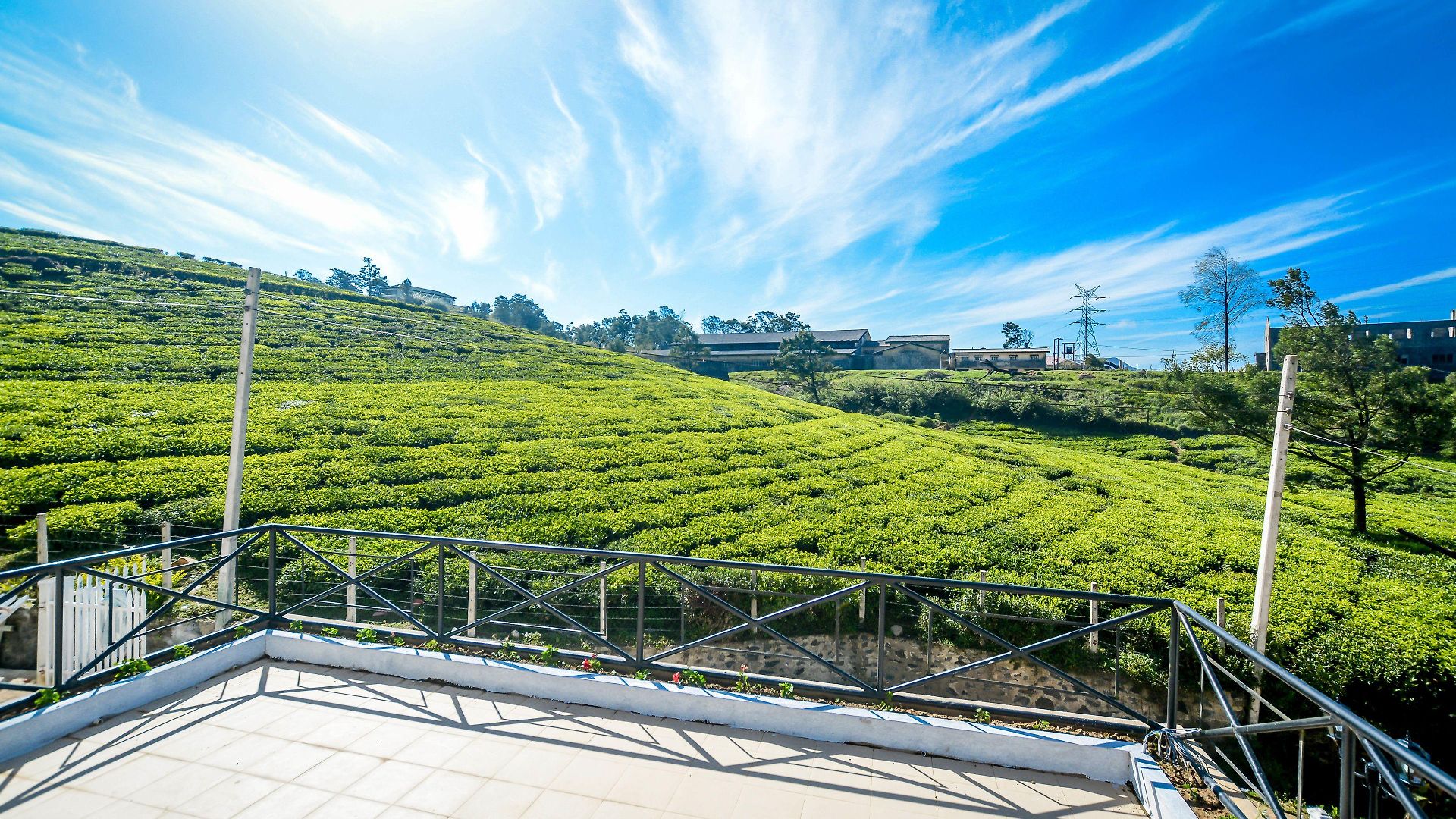 Villa Villa Tea Fields - Free Breakfast, Just 4Km From City, Near Lake Gregory Nuwara Eliya