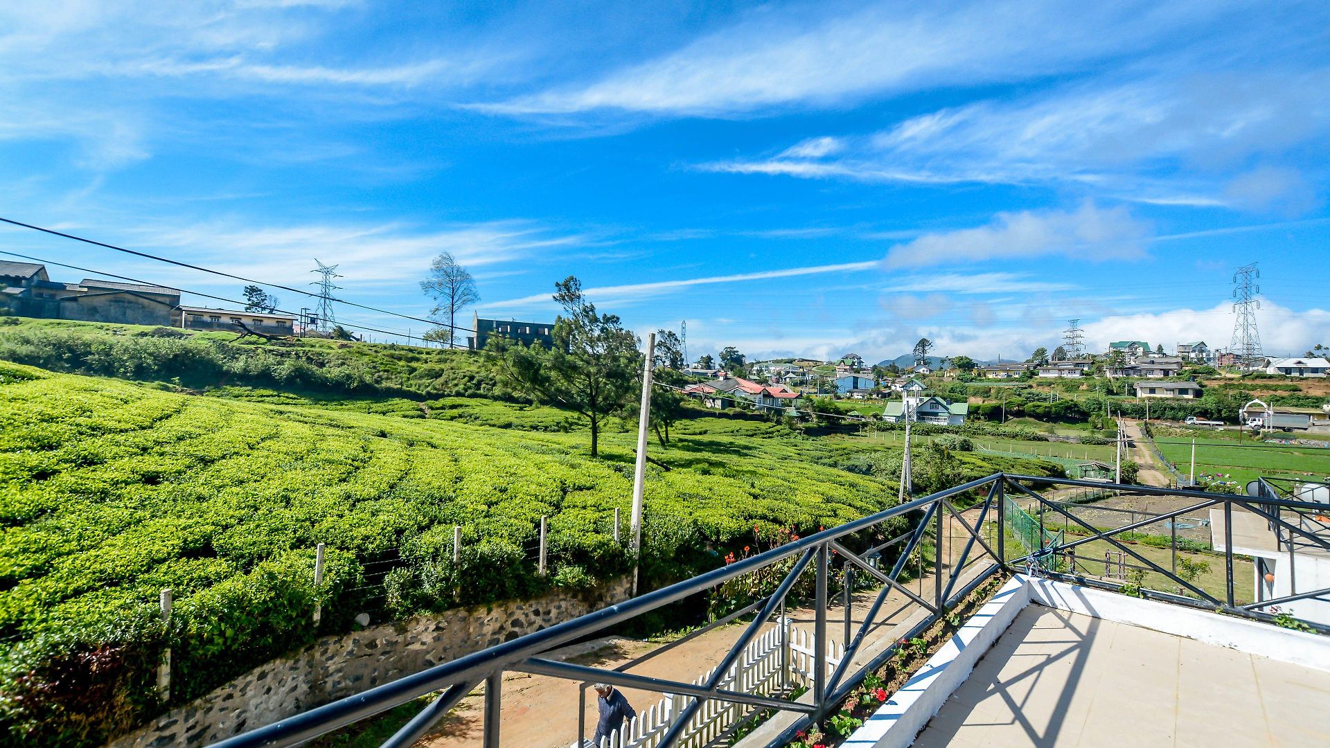 Villa Tea Fields - Free Breakfast, Just 4Km From City, Near Lake Gregory Villa *