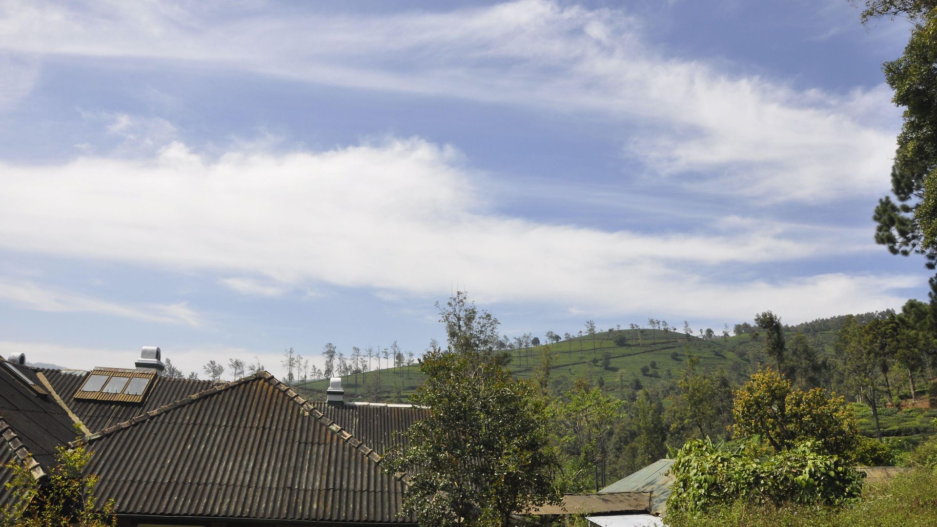 Scottish Planter Bungalow- Thema Collection * Nuwara Eliya