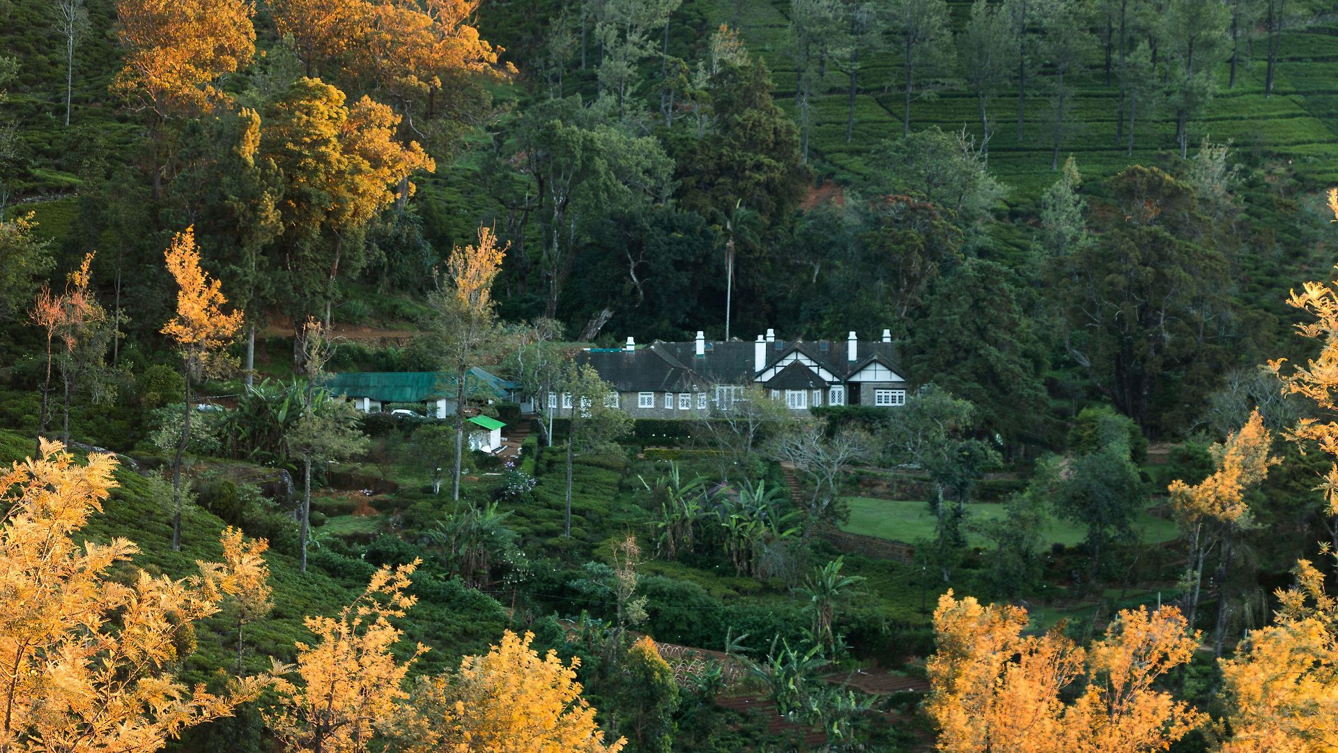 Villa Scottish Planter Bungalow- Thema Collection Nuwara Eliya