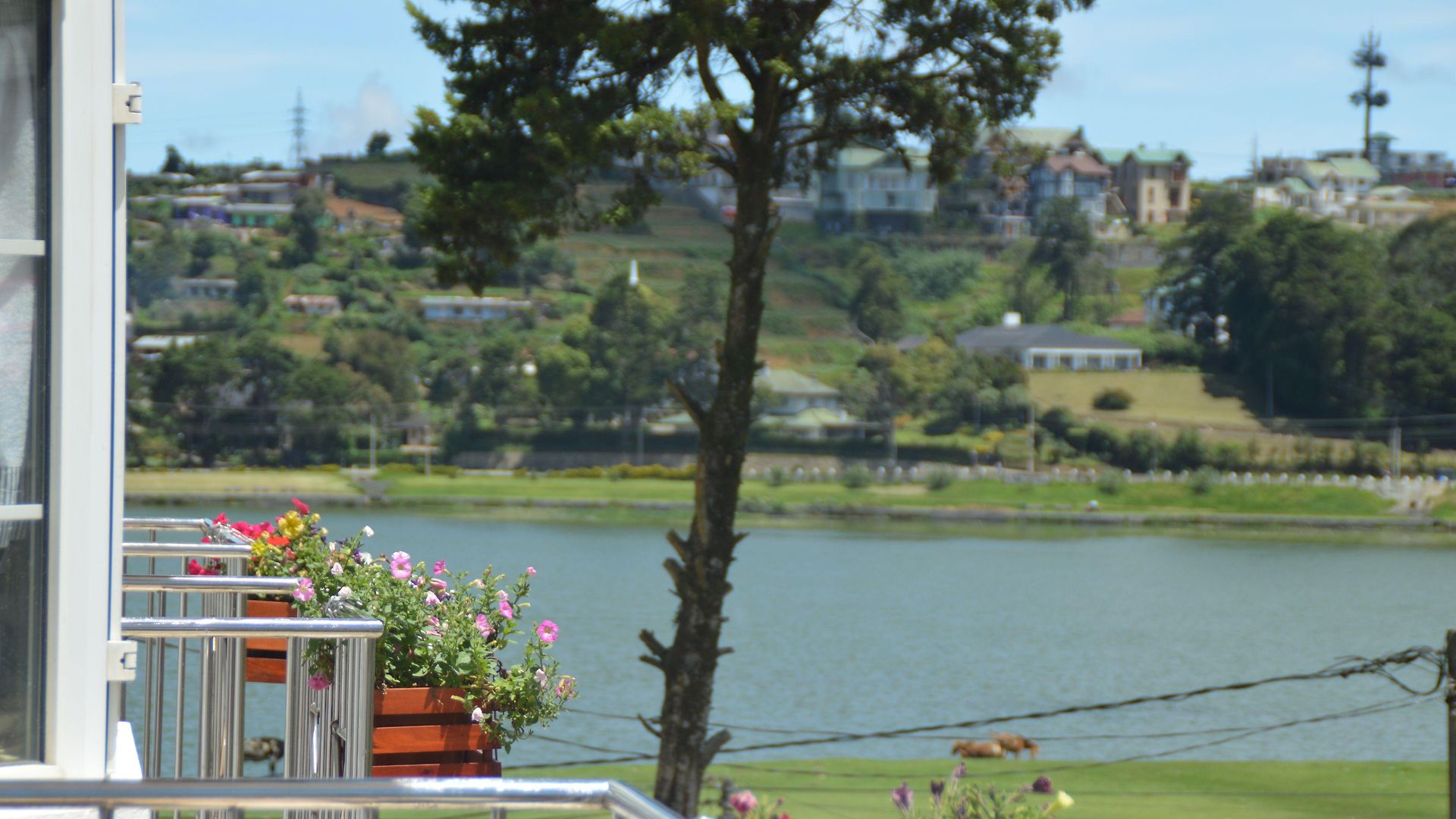 Royal Hills Nuwara Eliya 3* Nuwara Eliya