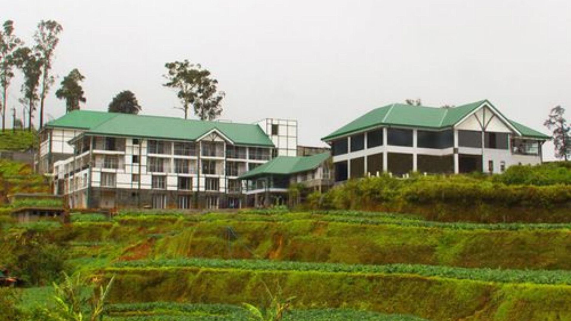The Blackpool & Nuwara Eliya