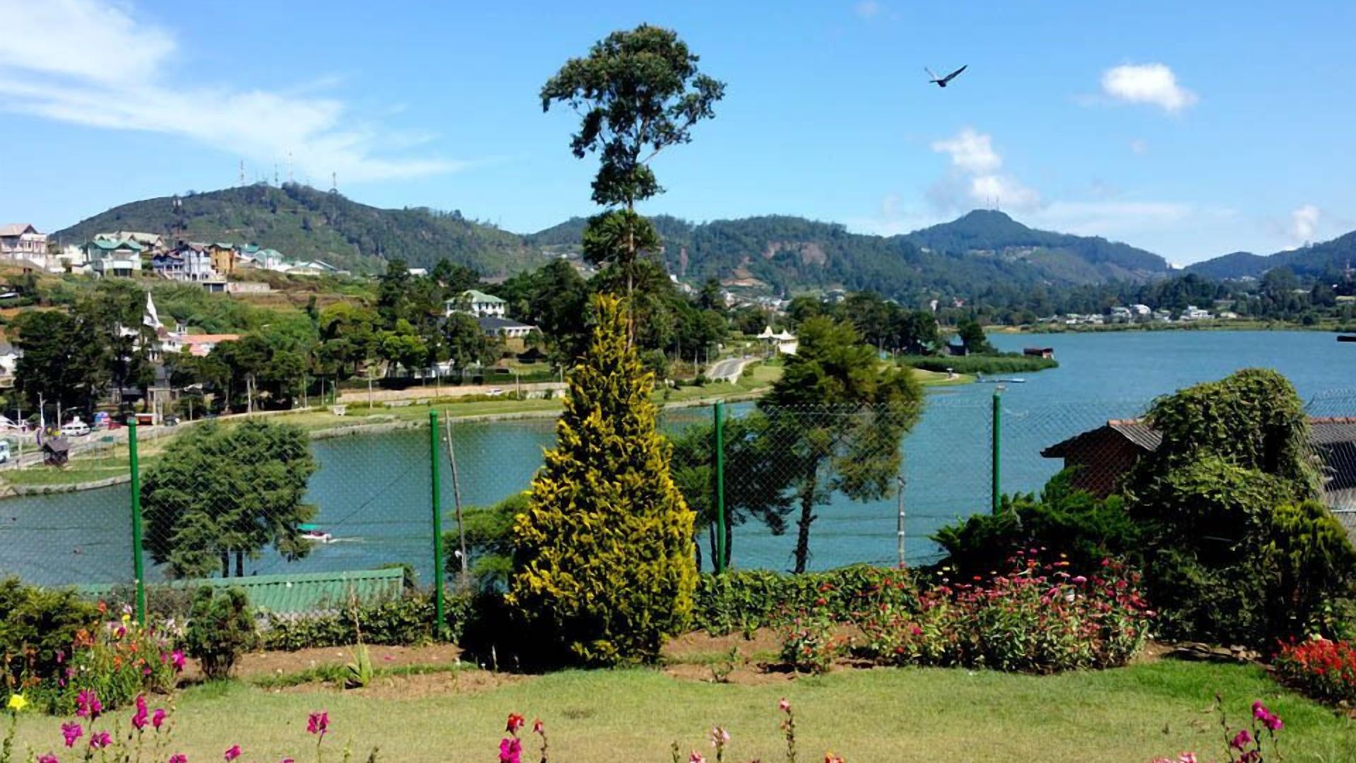 Lake View Holiday