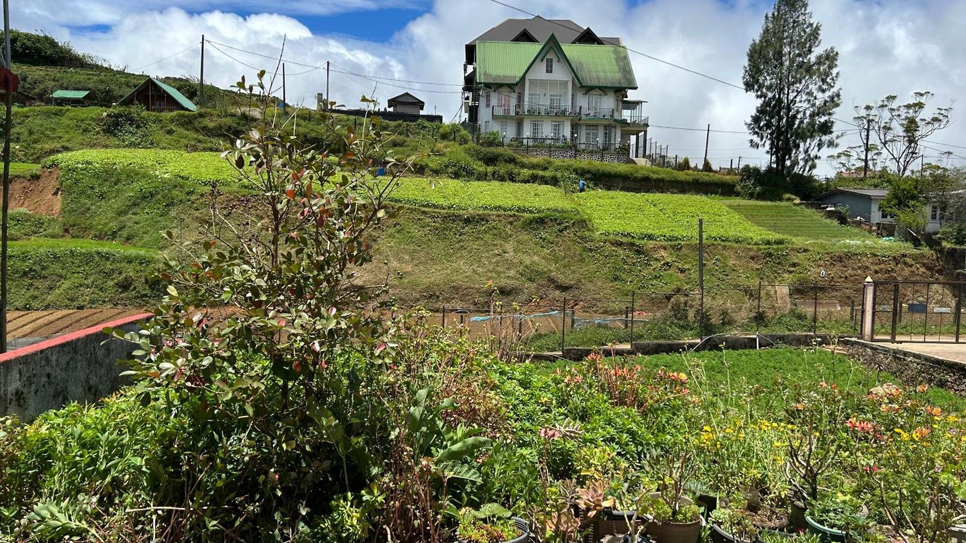 Guest house Chandrasobana 3*