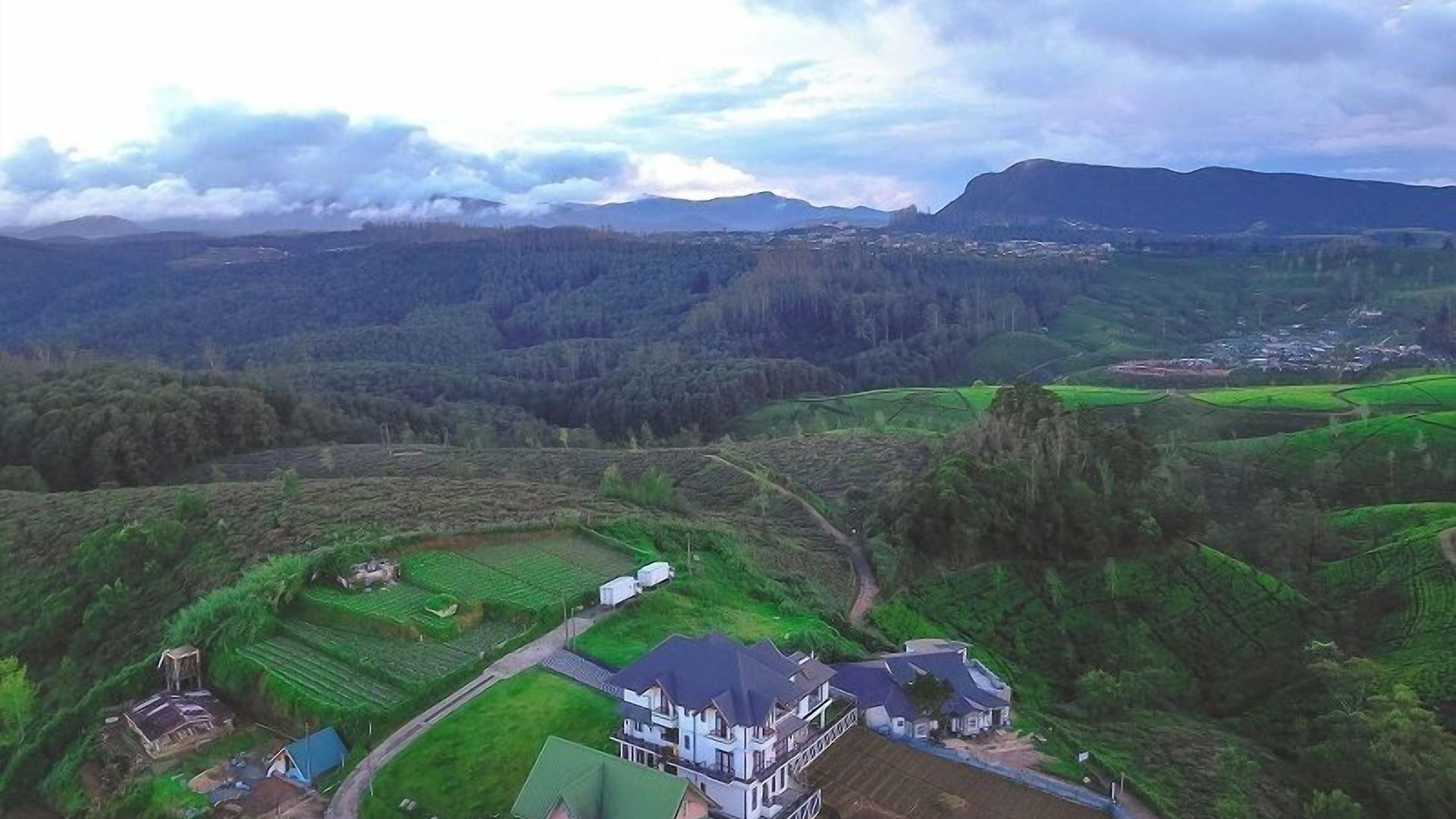 Mount Royal Nuwara Eliya