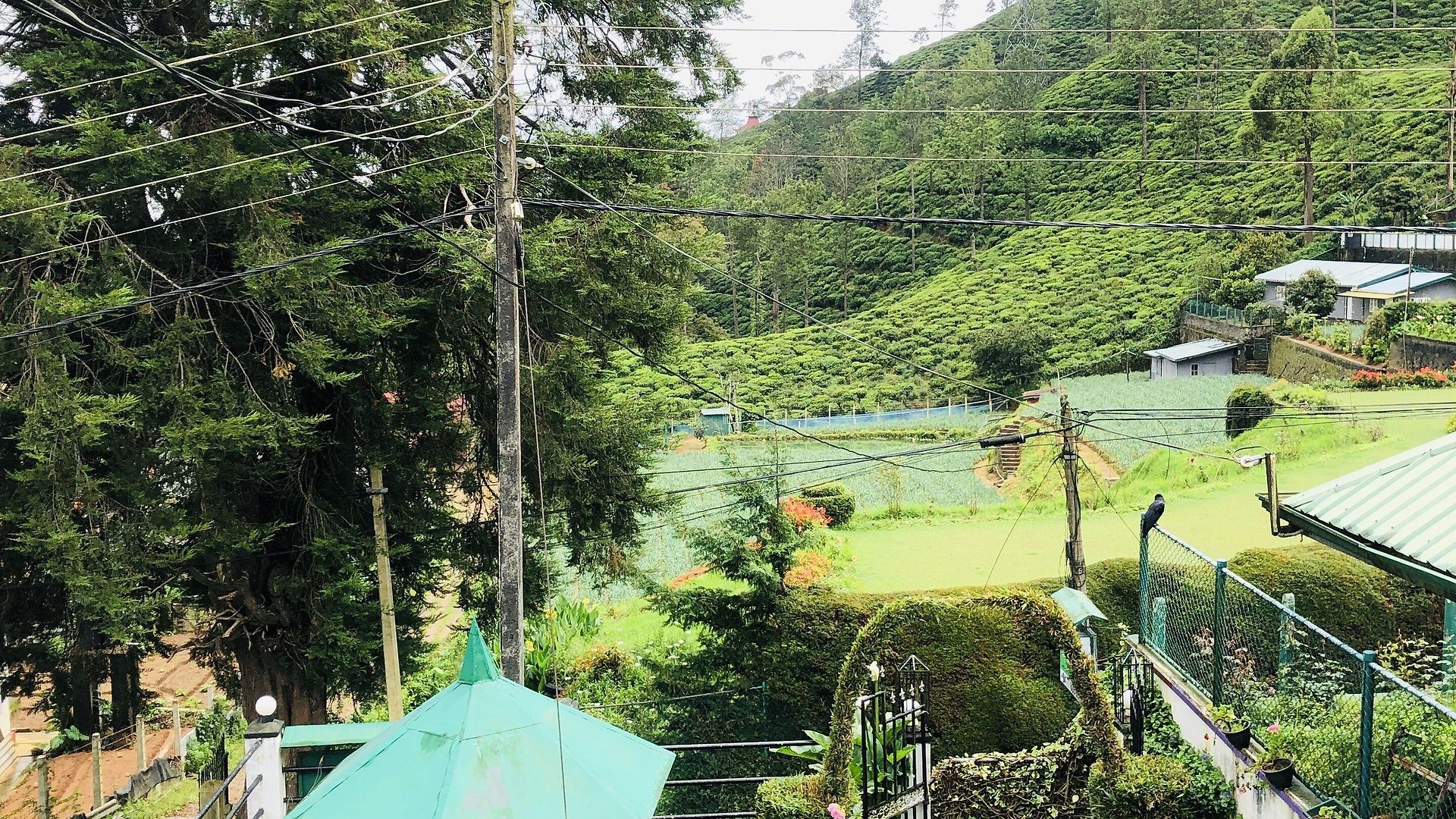 Homestay New Royal Mount