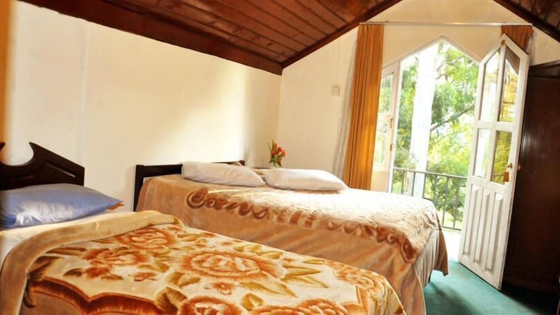 Guest house New Tour *