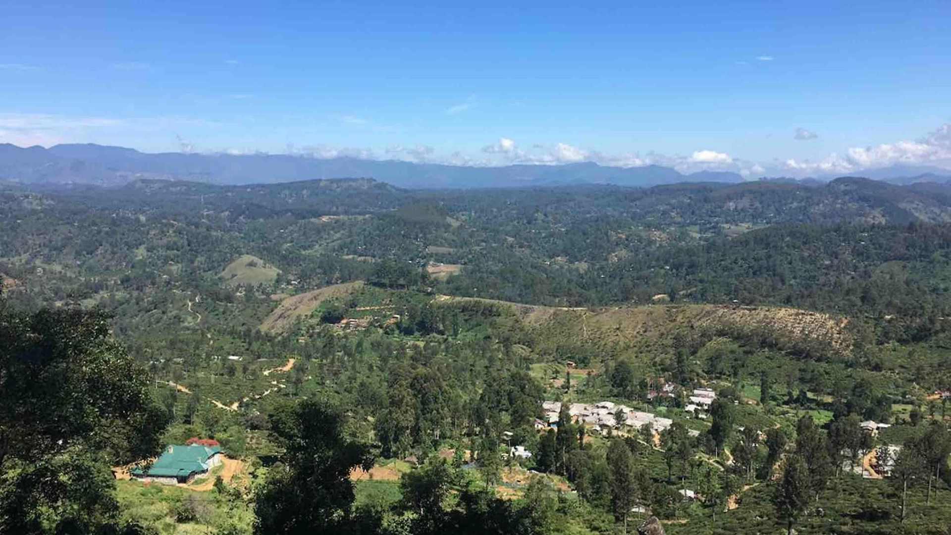 Daffodils 4* Nuwara Eliya
