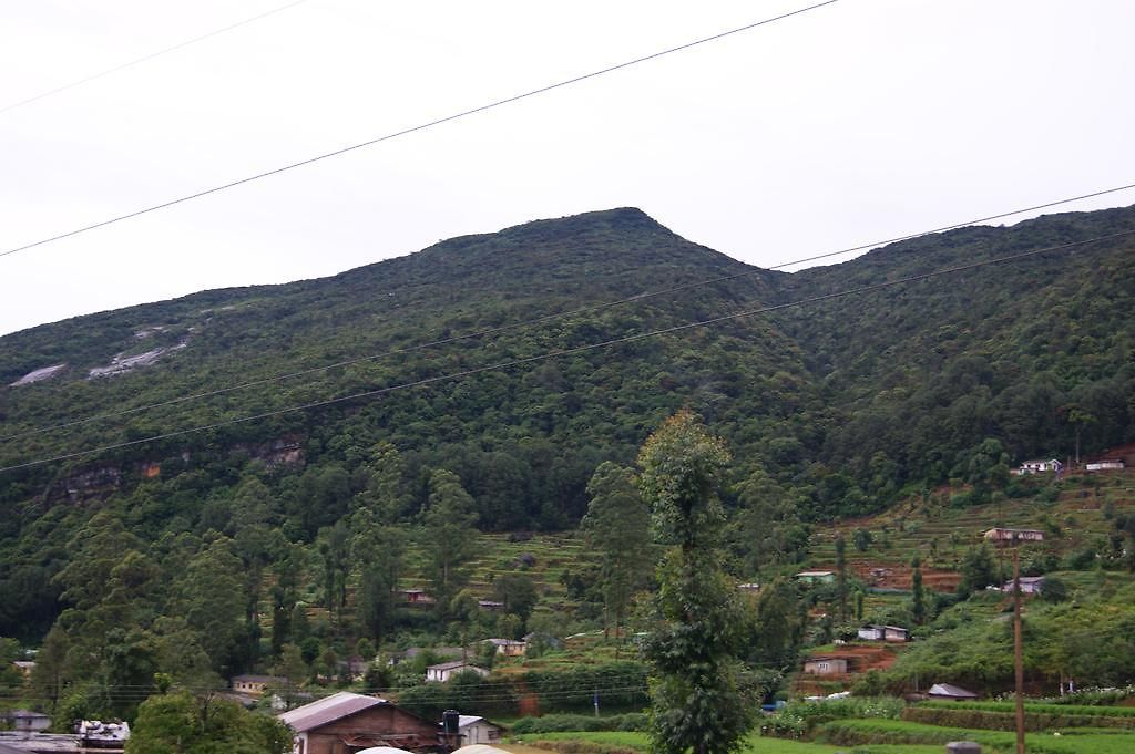 Holiday home Winter Dream Nuwara Eliya