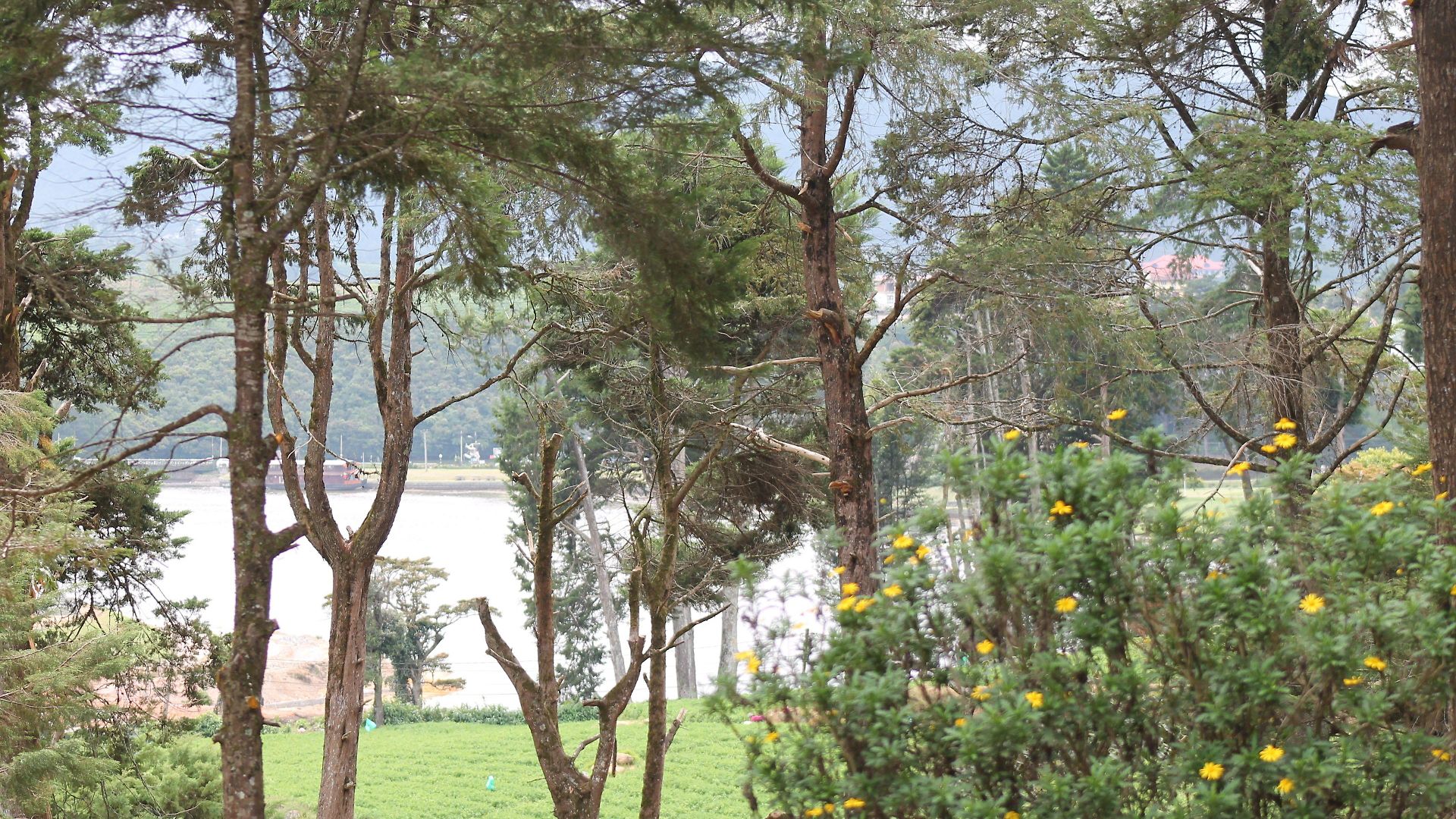 Hotel Mirage Kings Nuwara Eliya
