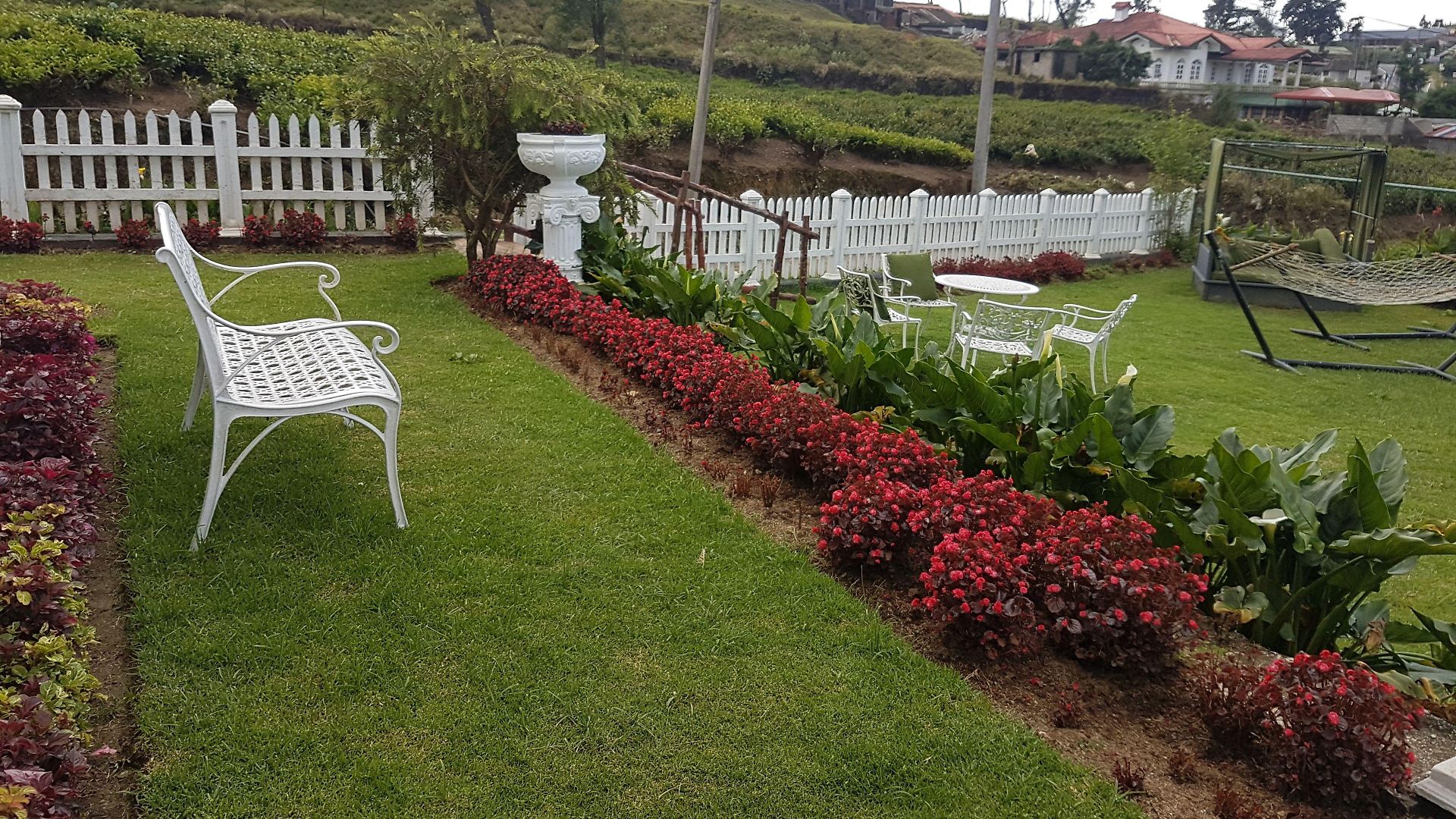 The Tea Garden - Complimentary Breakfast, Near Gregory *