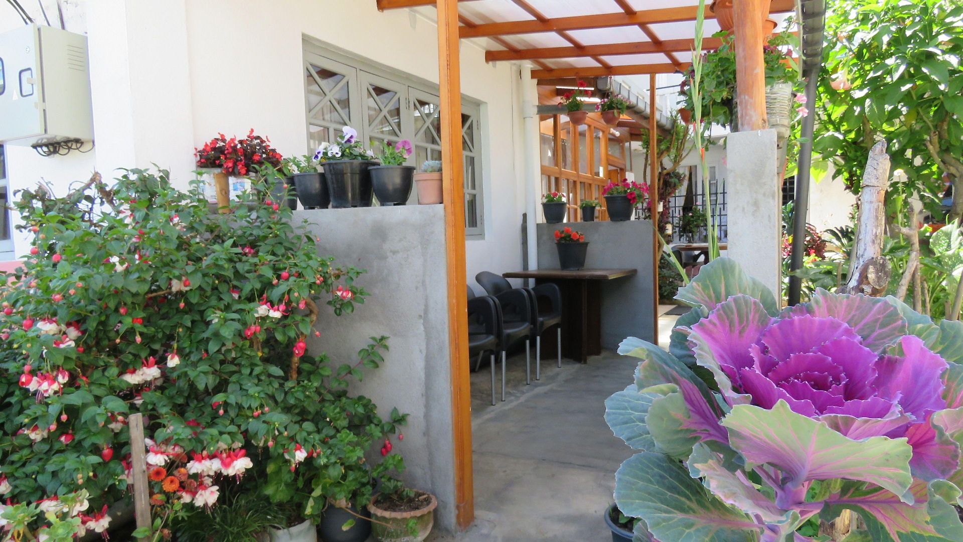 Carnation Rest Guest house