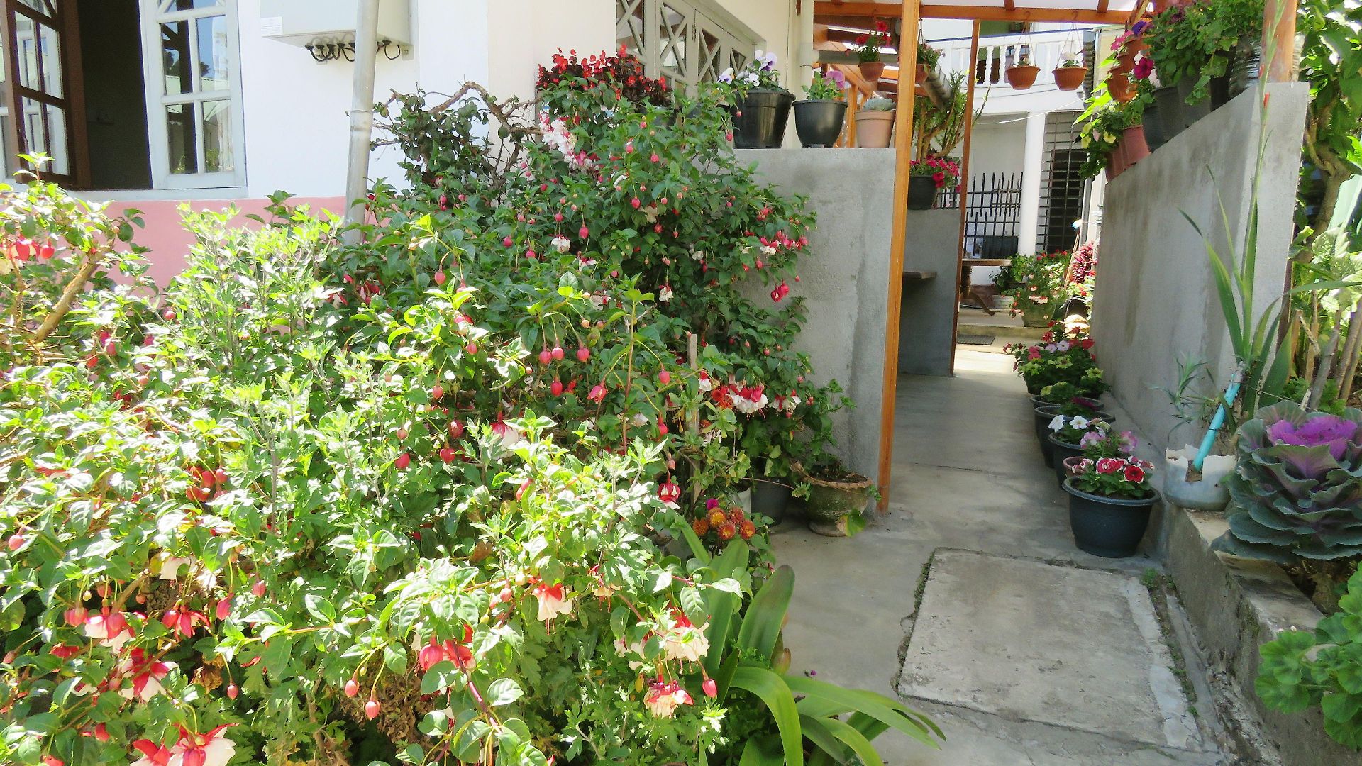 Carnation Rest 4* Nuwara Eliya