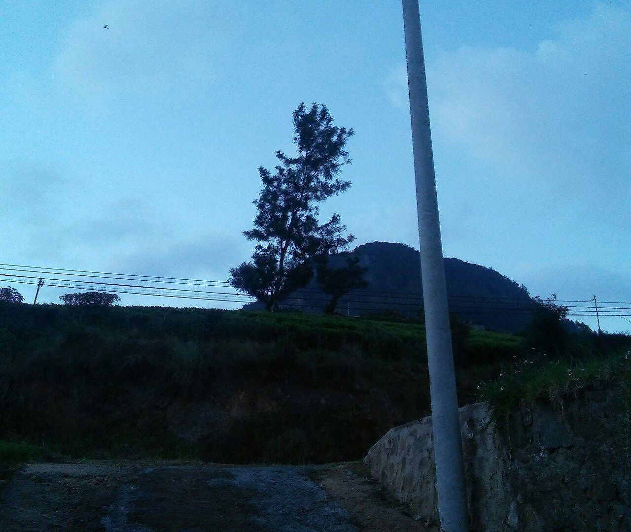 Guest house Aerizo Tours & Nuwara Eliya