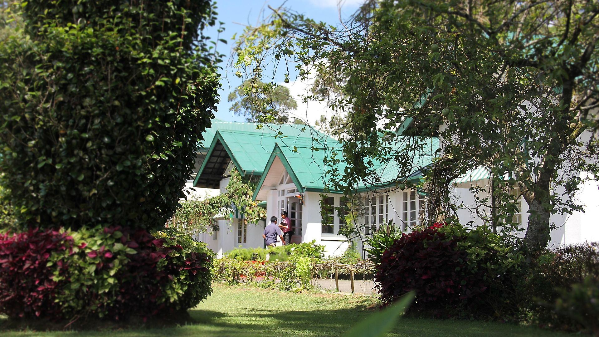 Hotel The Trevene