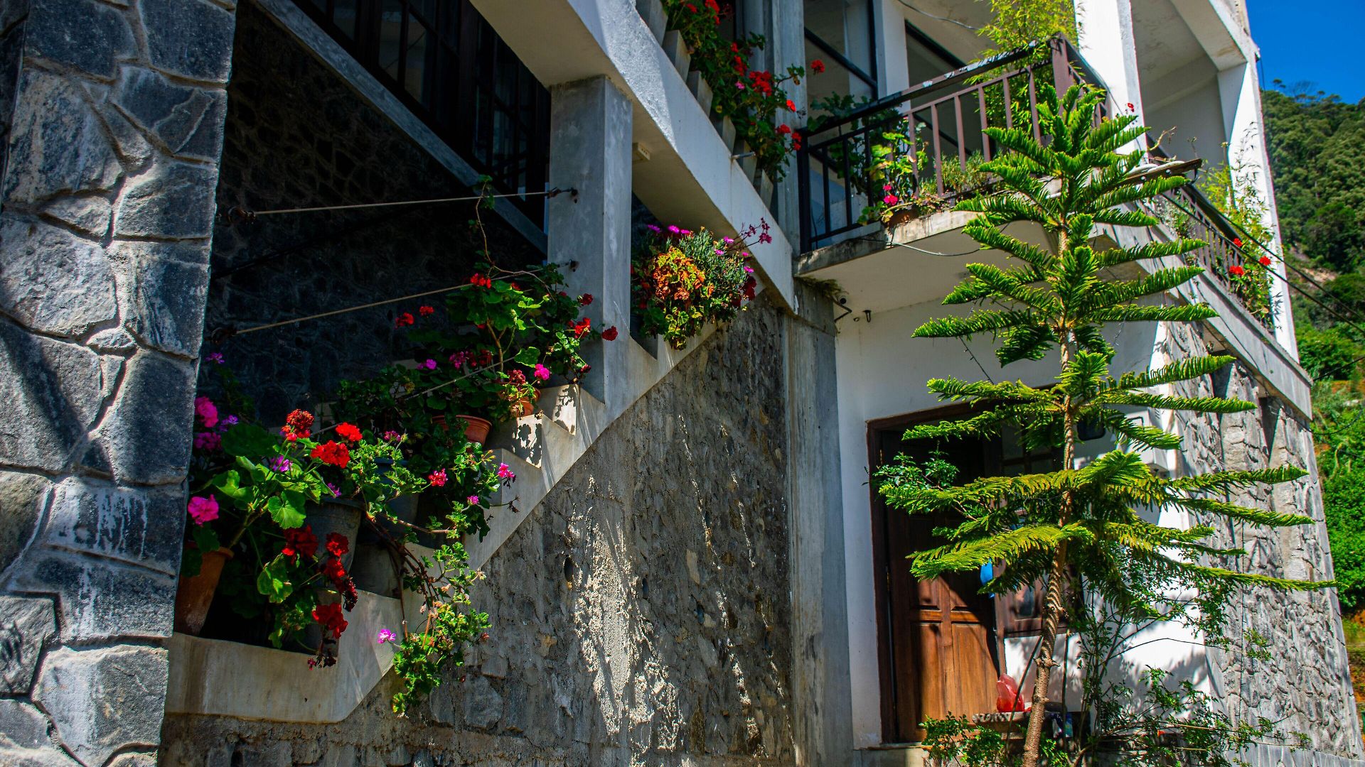 Manudi Glenfallsedge Rest 3* Nuwara Eliya