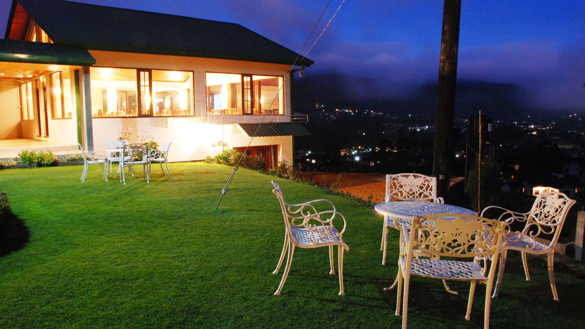 Tea Bush Nuwara Eliya