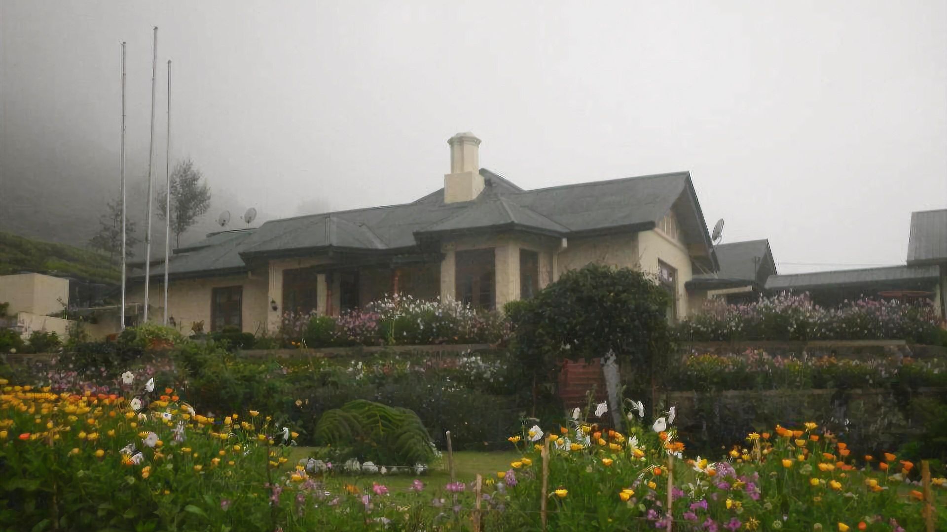 Tea Bush Hotel 3*