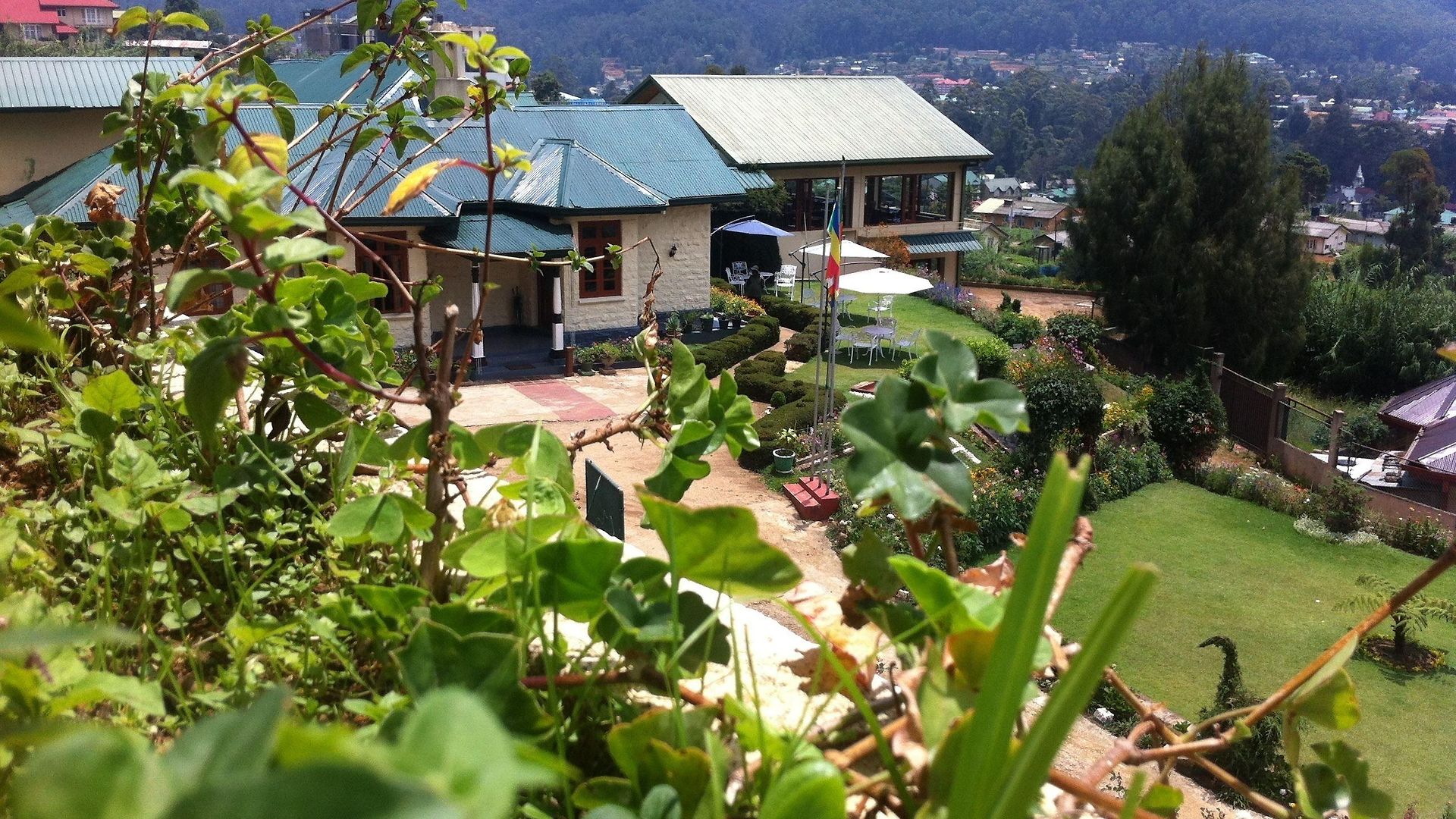 Tea Bush Hotel 3*