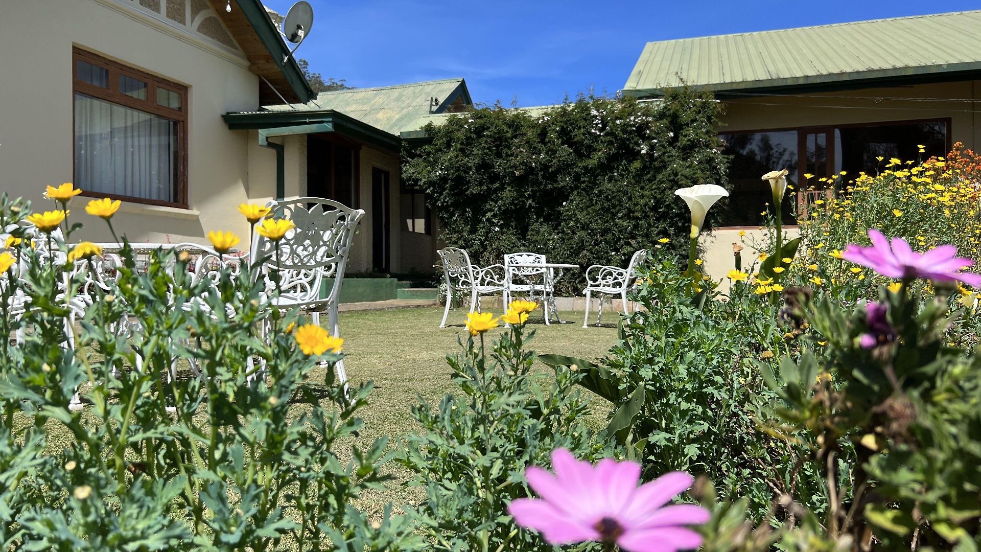 Hotel Tea Bush Nuwara Eliya