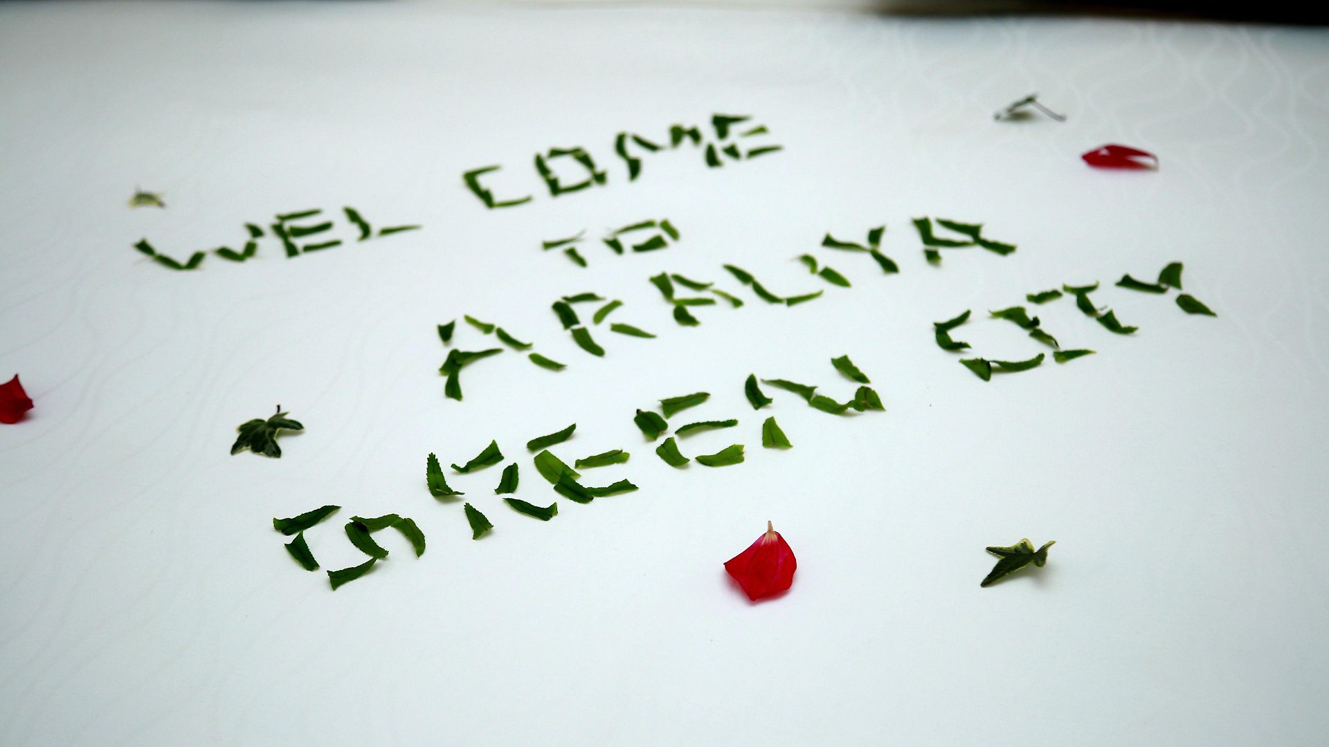 Araliya - Your Gateway To Everything In Hotel