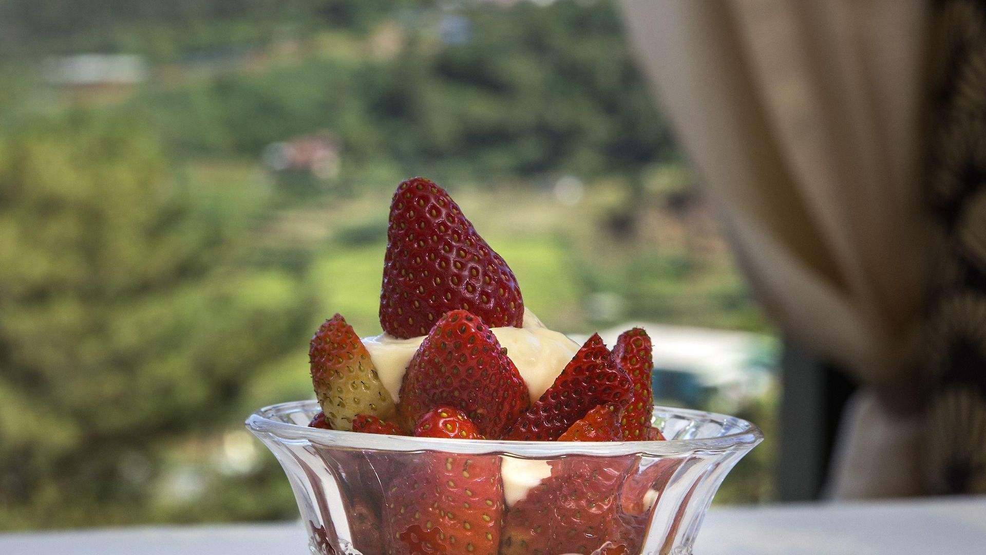 The Cheriz Boutique 5* Nuwara Eliya