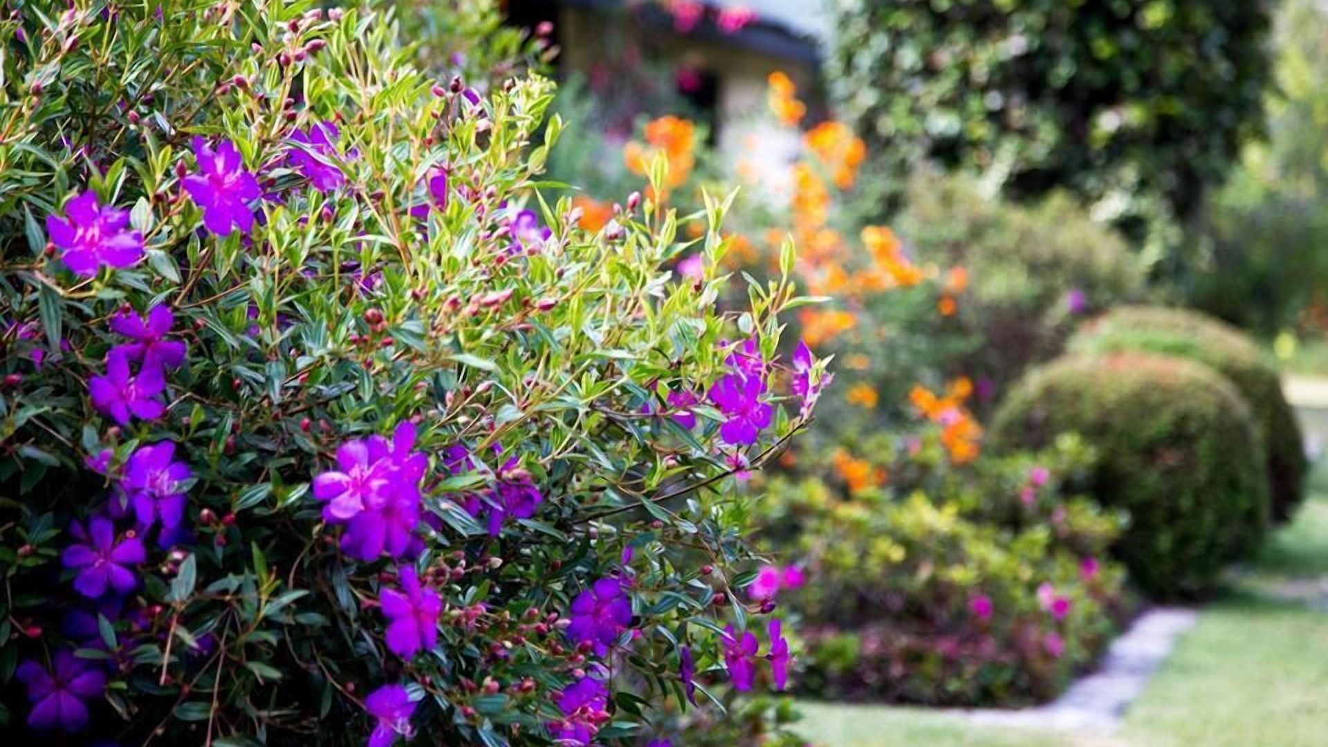 Guest house Ferncliff 4*