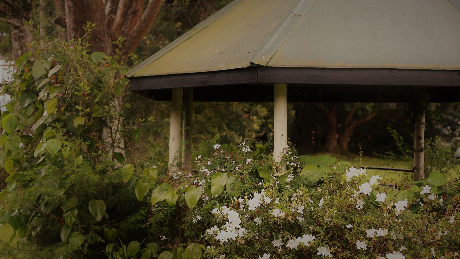 Ferncliff Guest house Nuwara Eliya