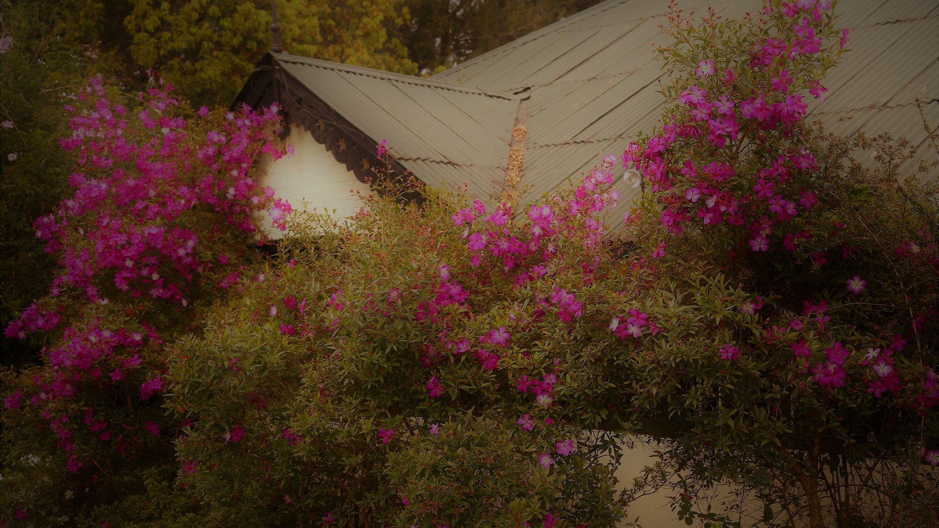 Ferncliff Guest house 4*