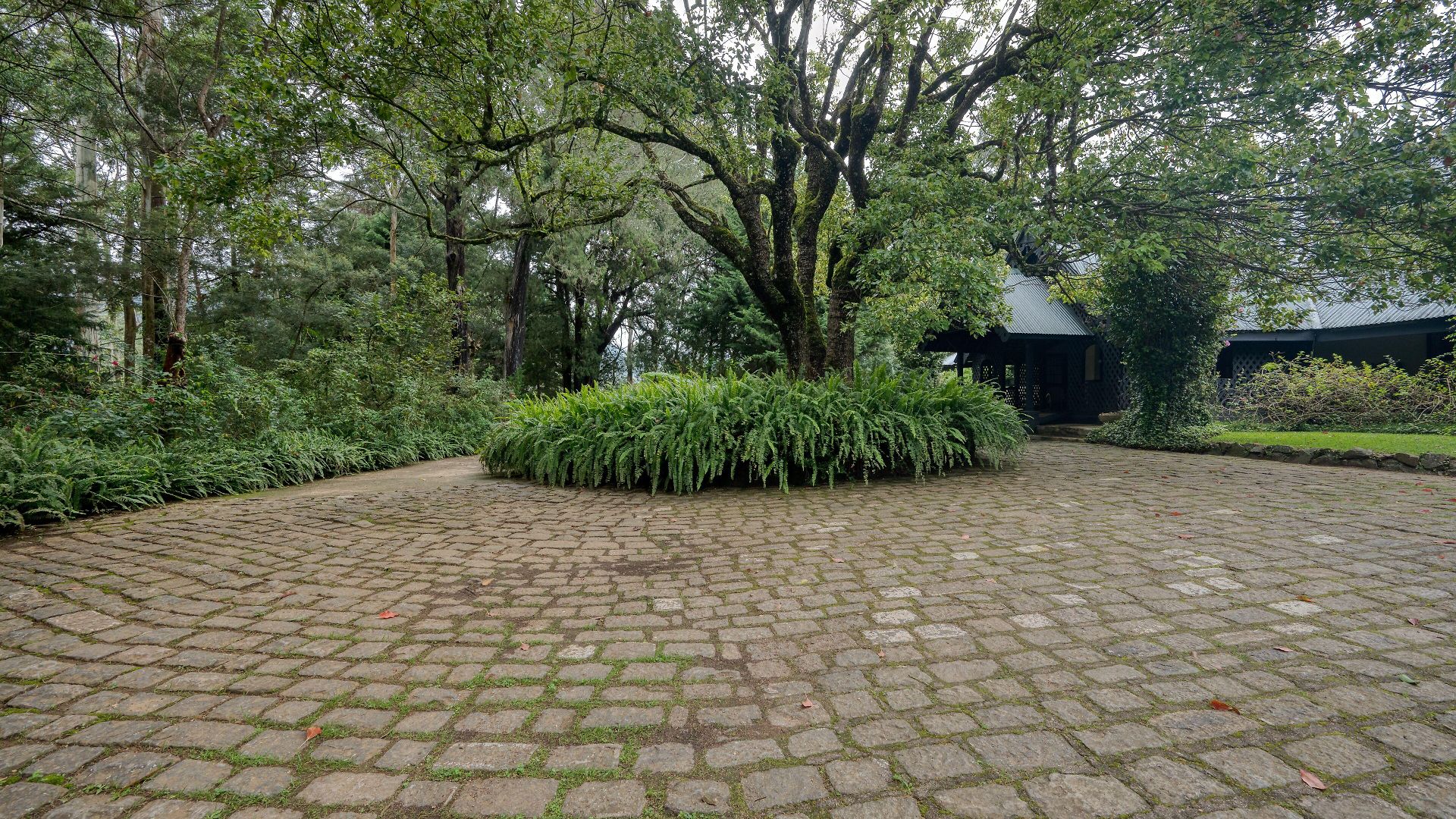 Guest house Ferncliff Nuwara Eliya