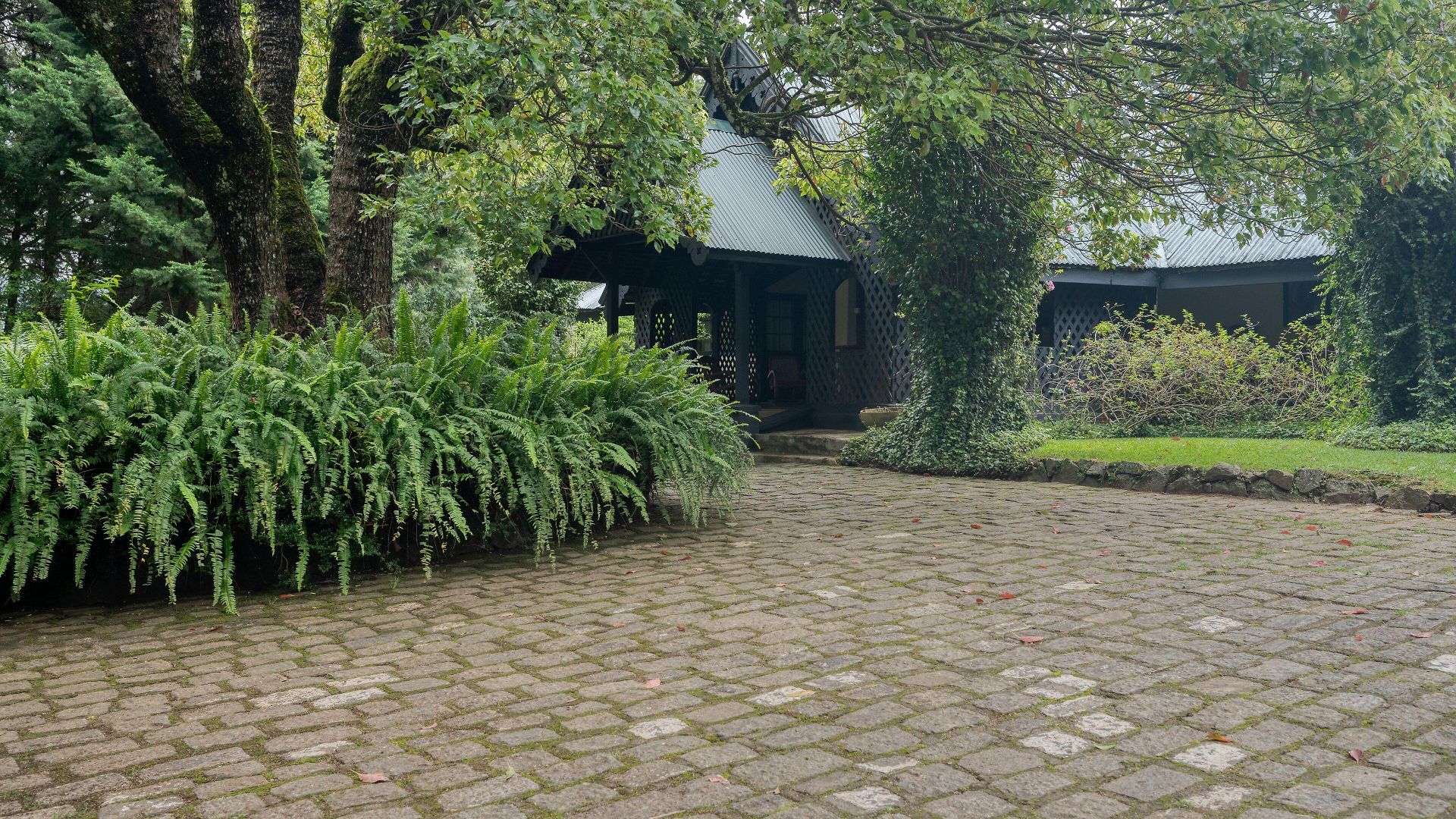 Guest house Ferncliff Nuwara Eliya